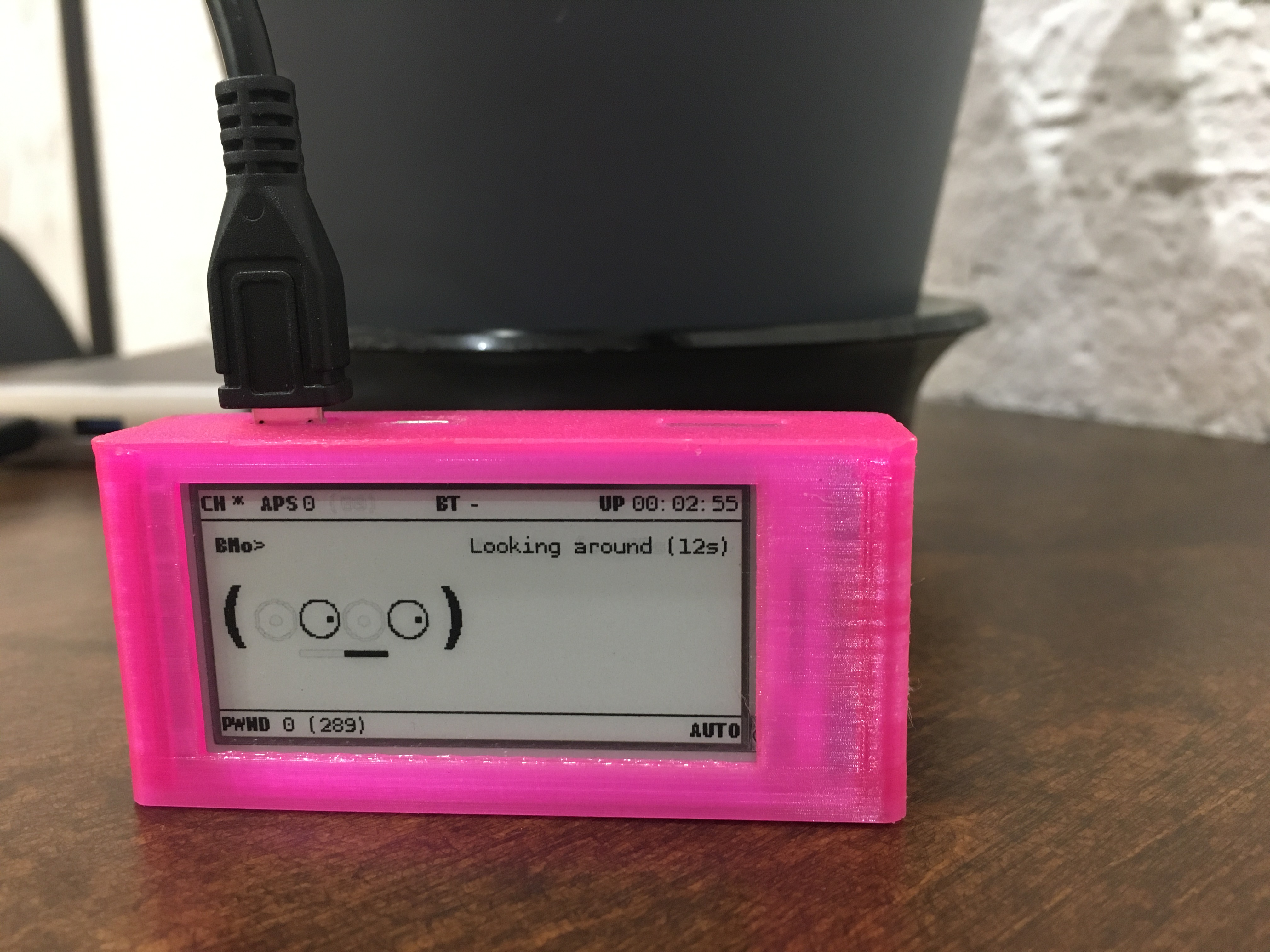 14 Pwnagotchi Cases