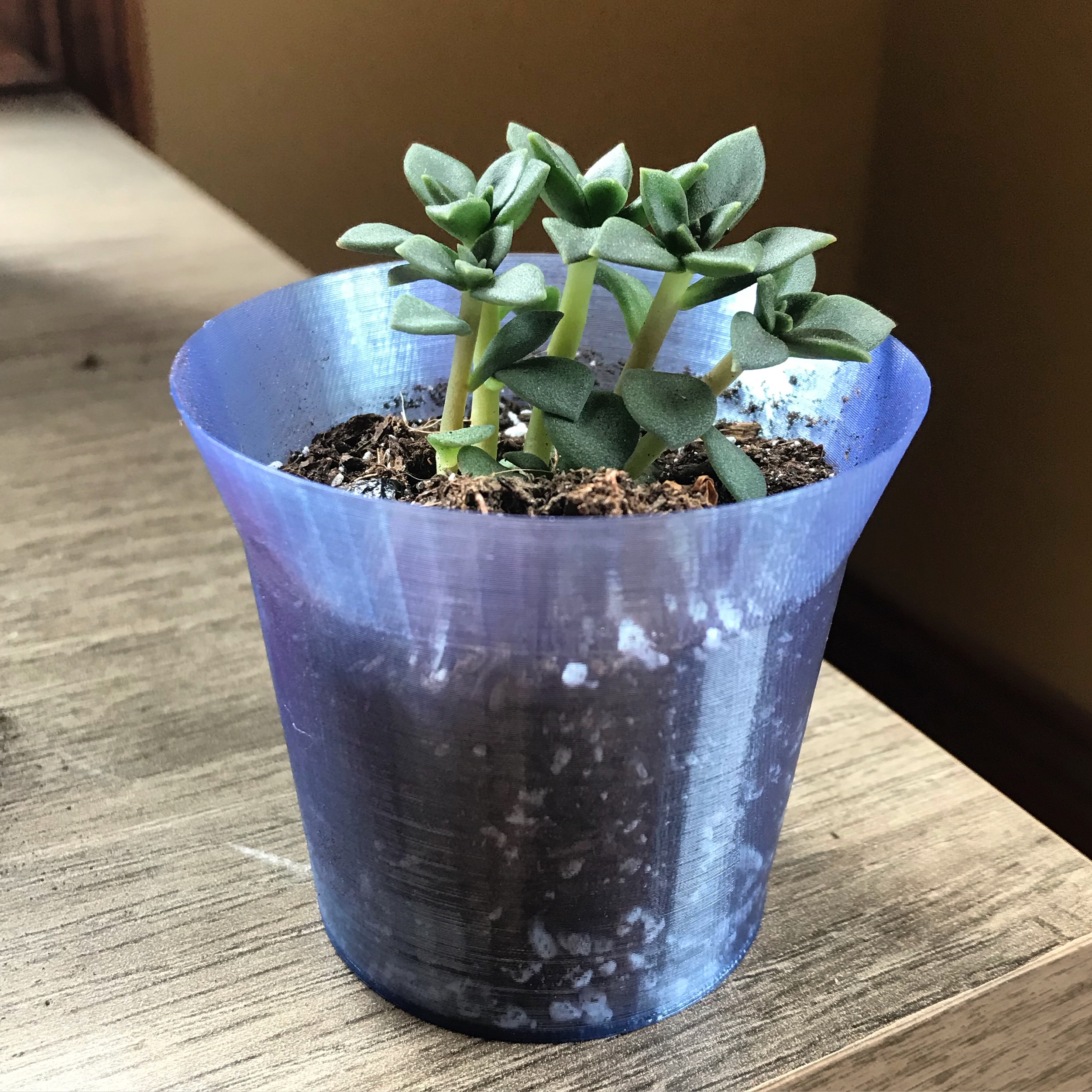 Tiny Pot Project