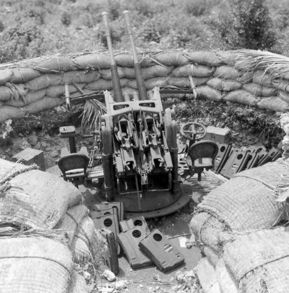 Type 96 AA Dual