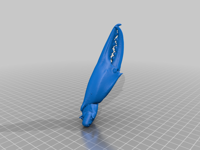 Crab Claw