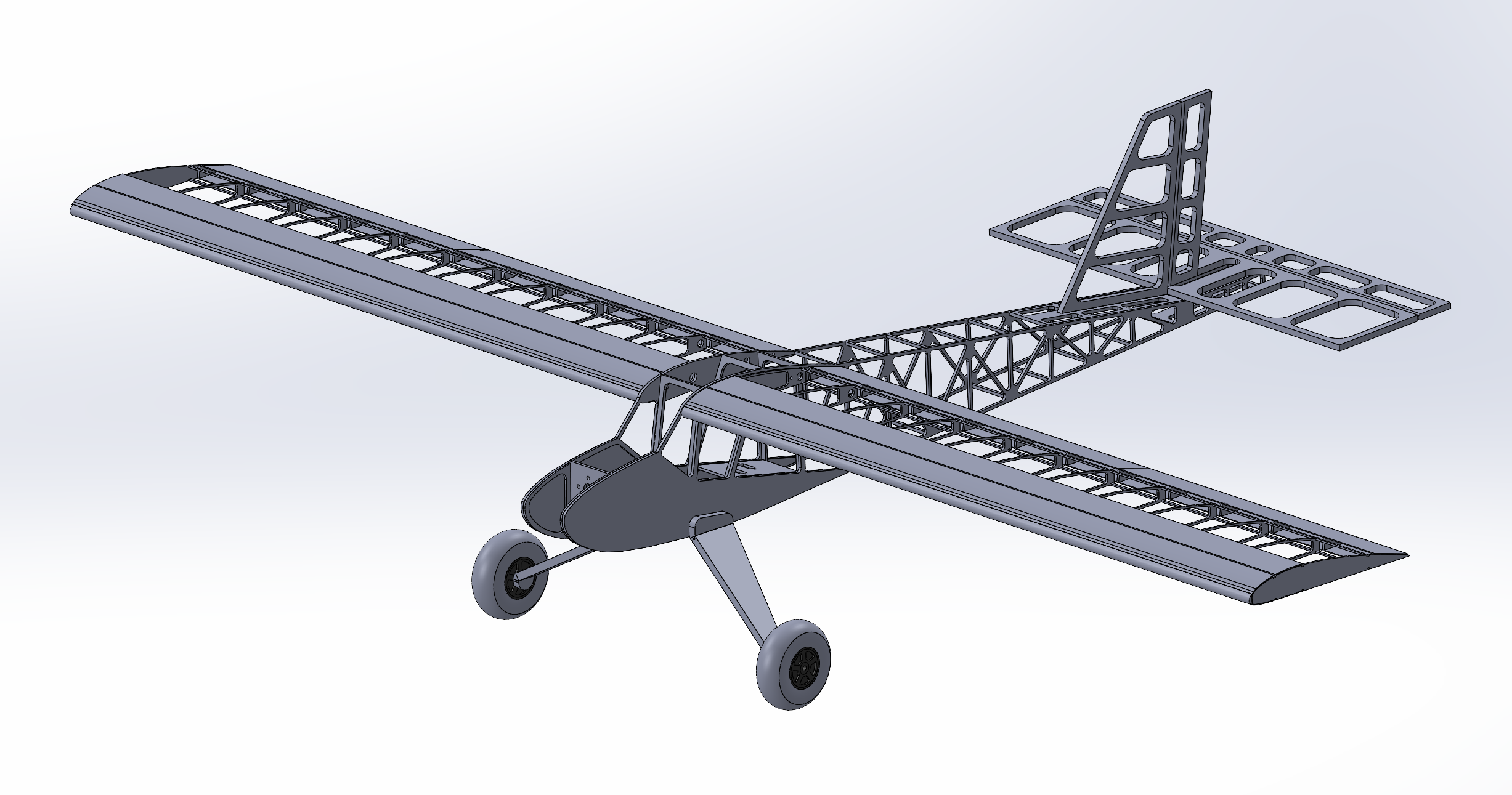 Wicherek 25 RC plane samolot