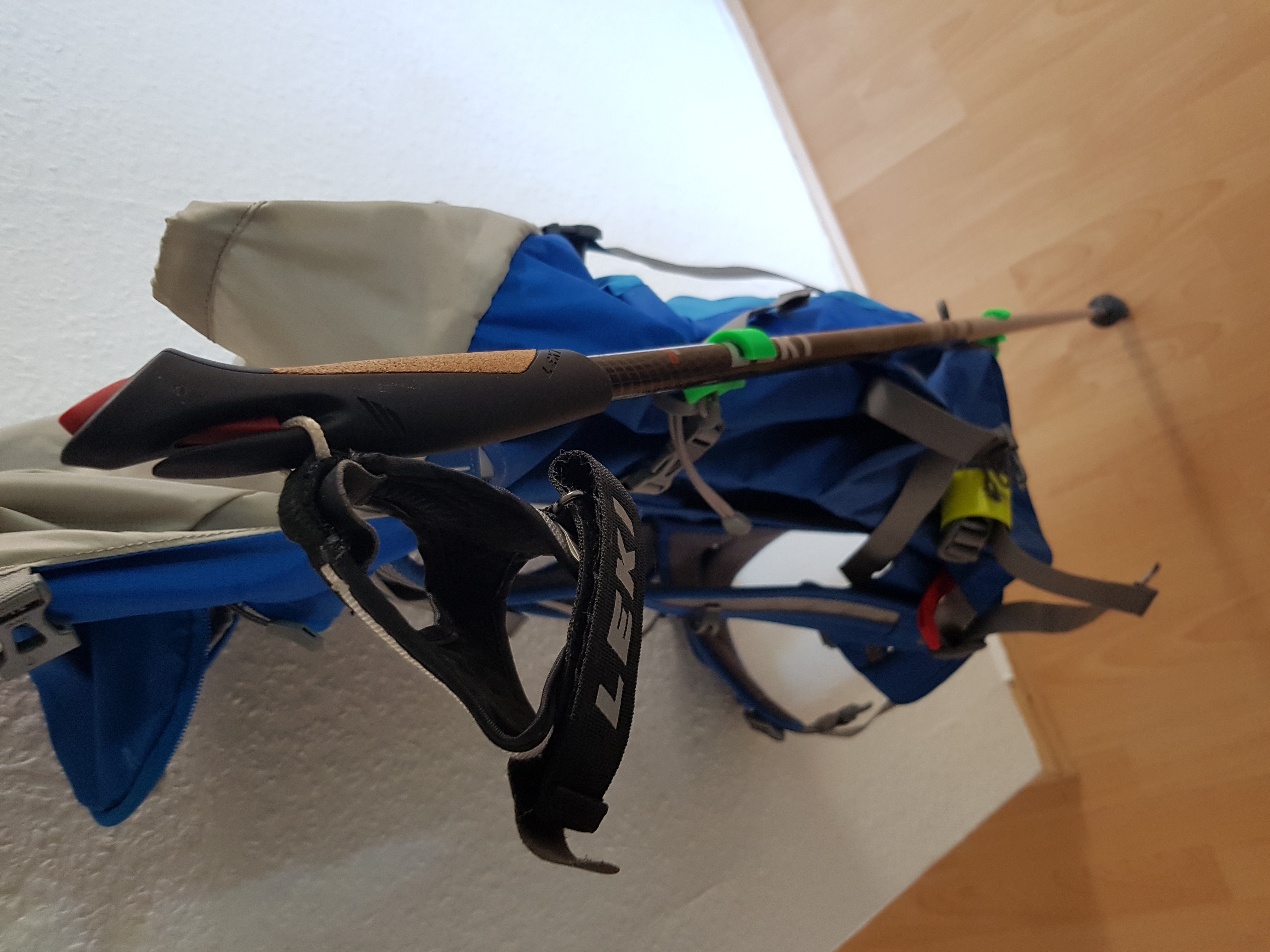 Hiking stick bagpack hooks