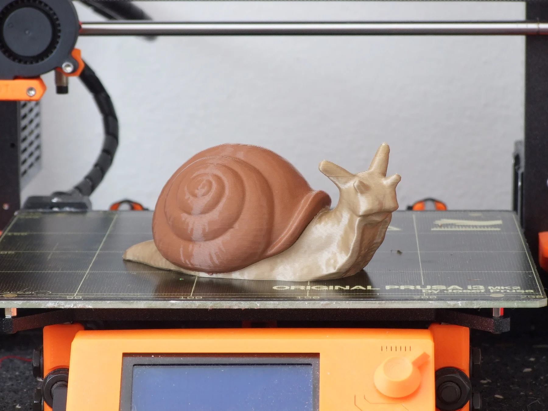 Snail (multi-material remix)