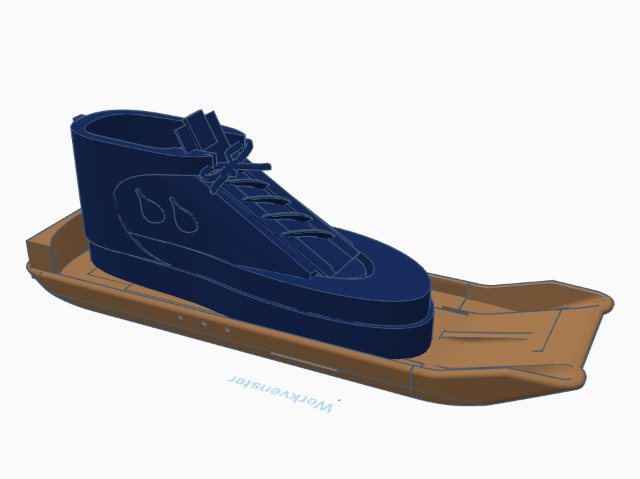 ski shoe (mini wearable ski)