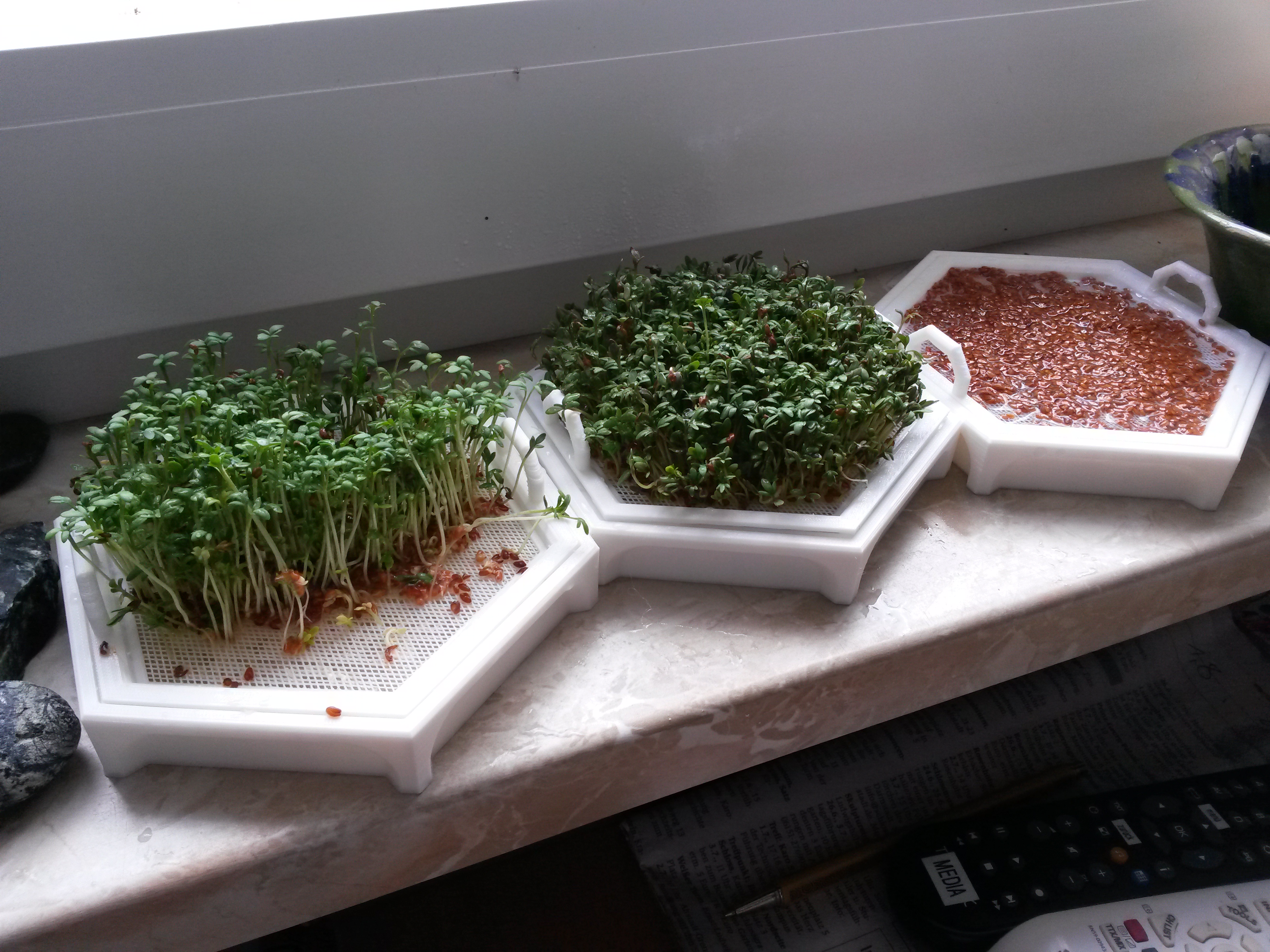Cress-seed growing-sieve