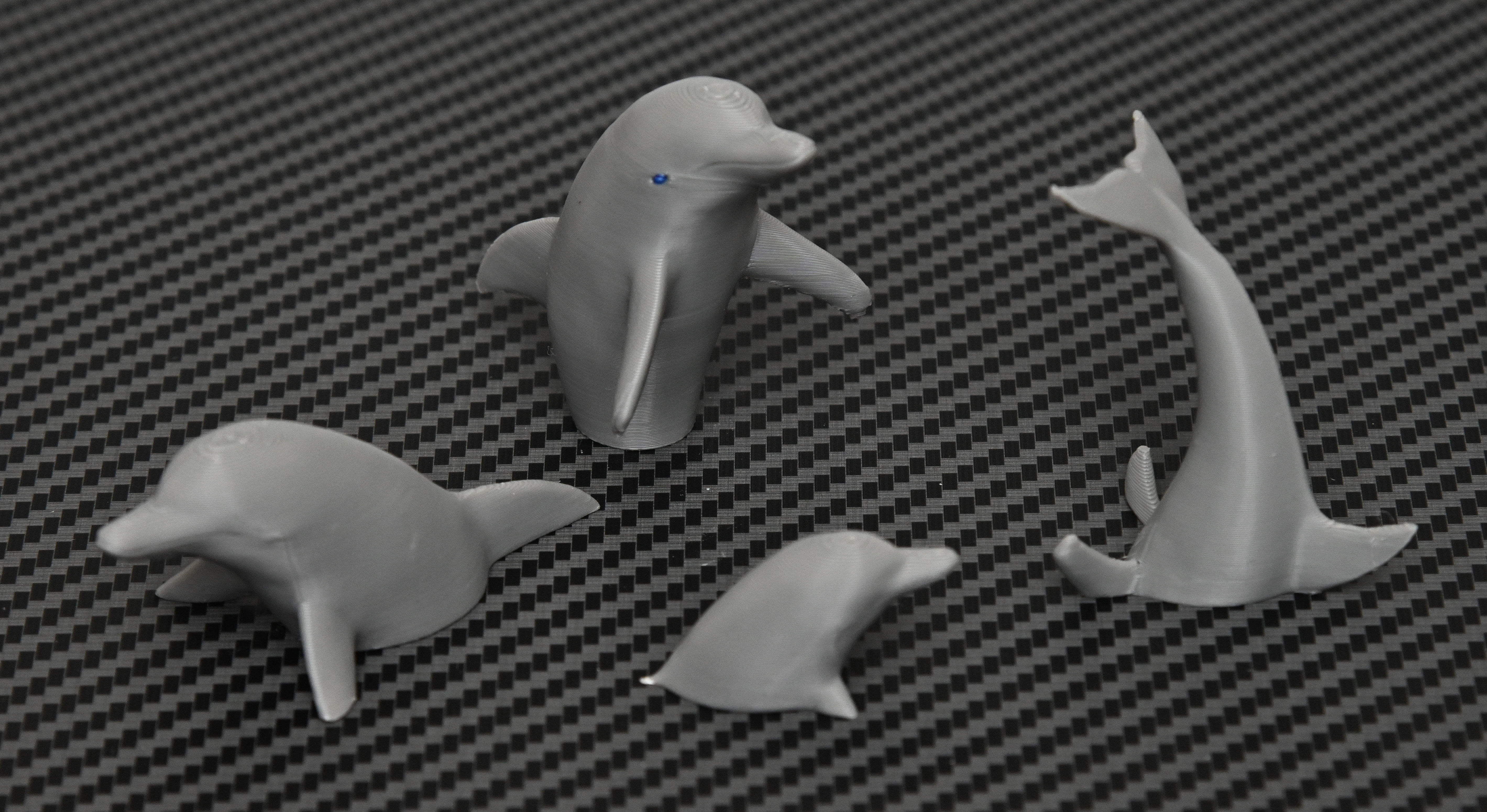 Dolphin Fridge Magnet