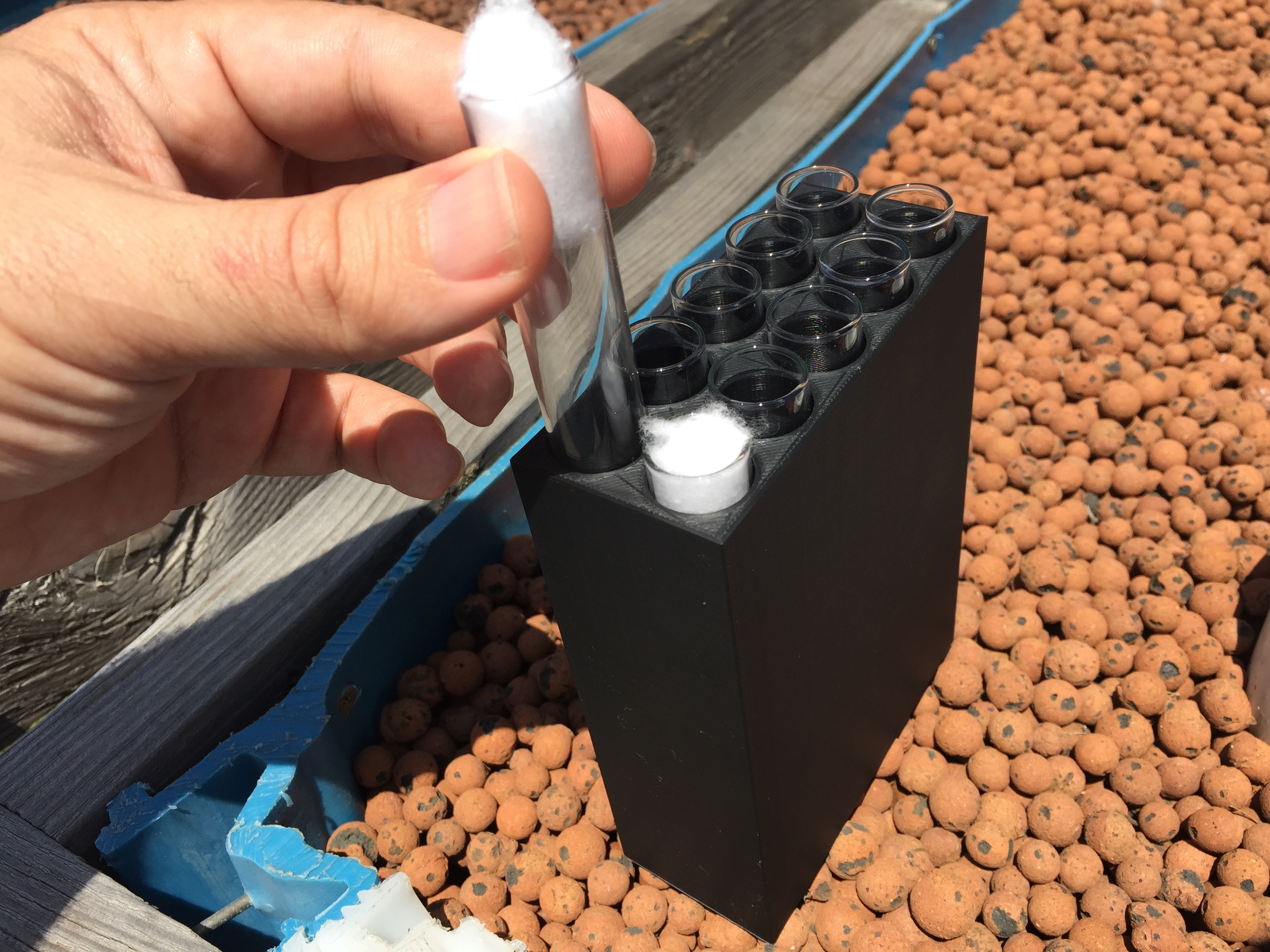 Ant Queen Tube Holder - 17x150, 19x150, 21x150