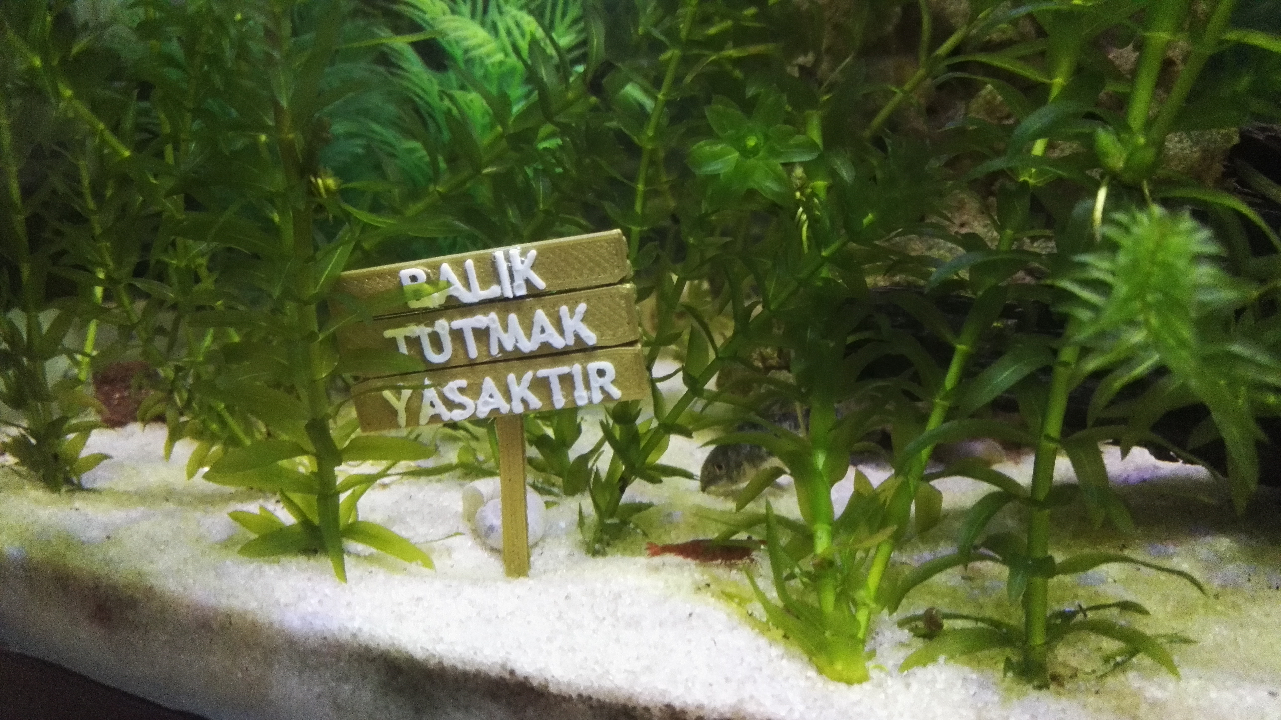 Aquarium Decor (Akvaryum Dekor)