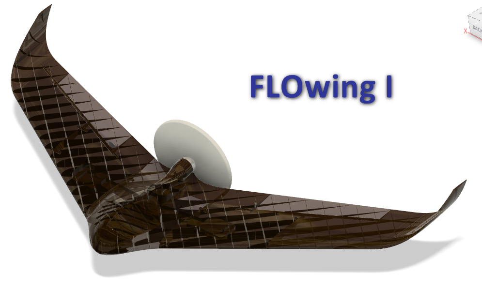 RC Plane Flying Wing - FLOwing1 - tested flying