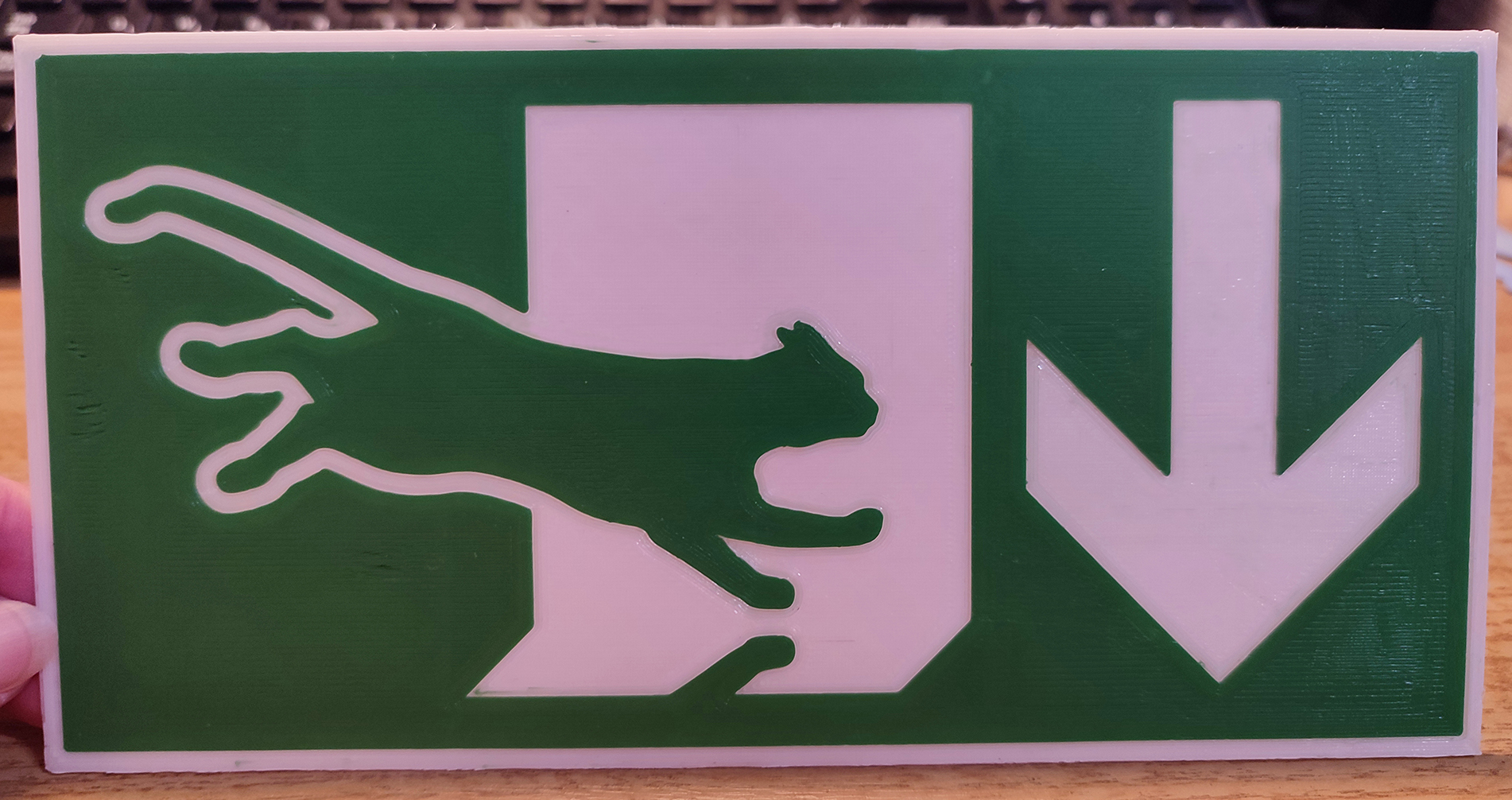 Exit sign for cats