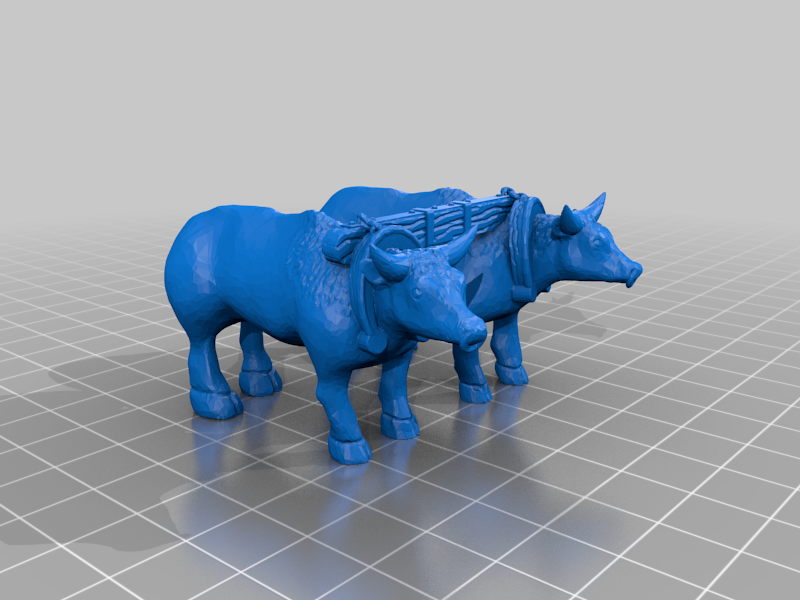Oxen double yoked