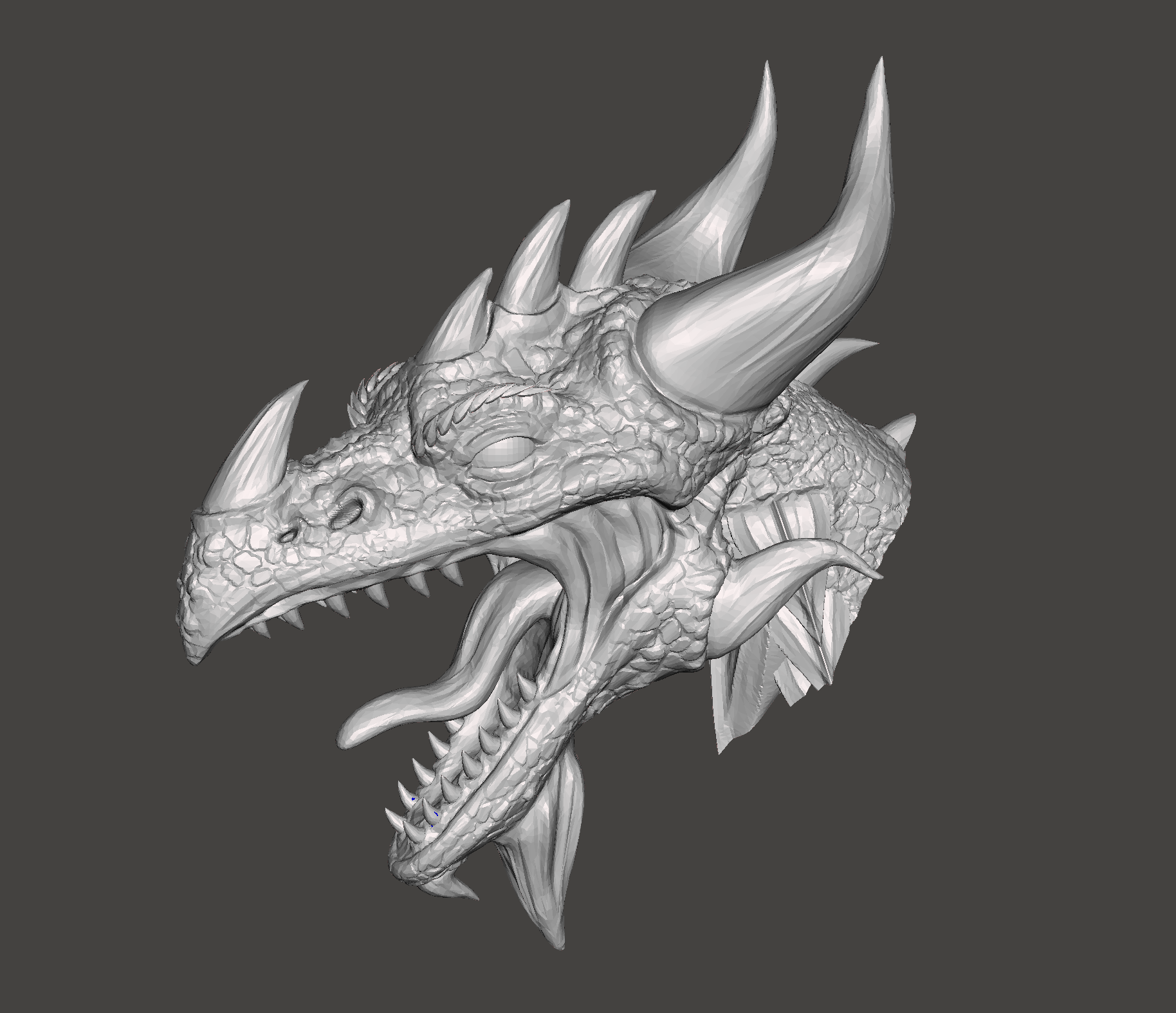 Dragon head