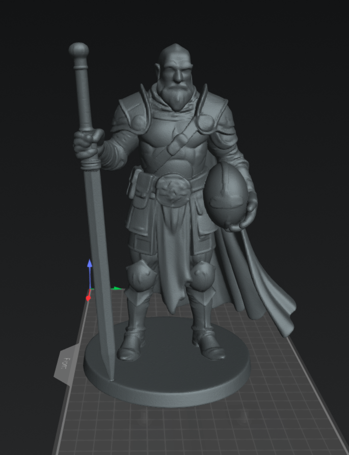 Human Paladin Male 1