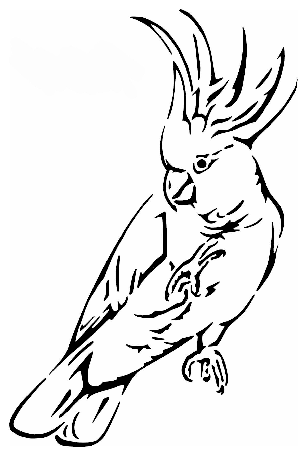 Cockatoo stencil