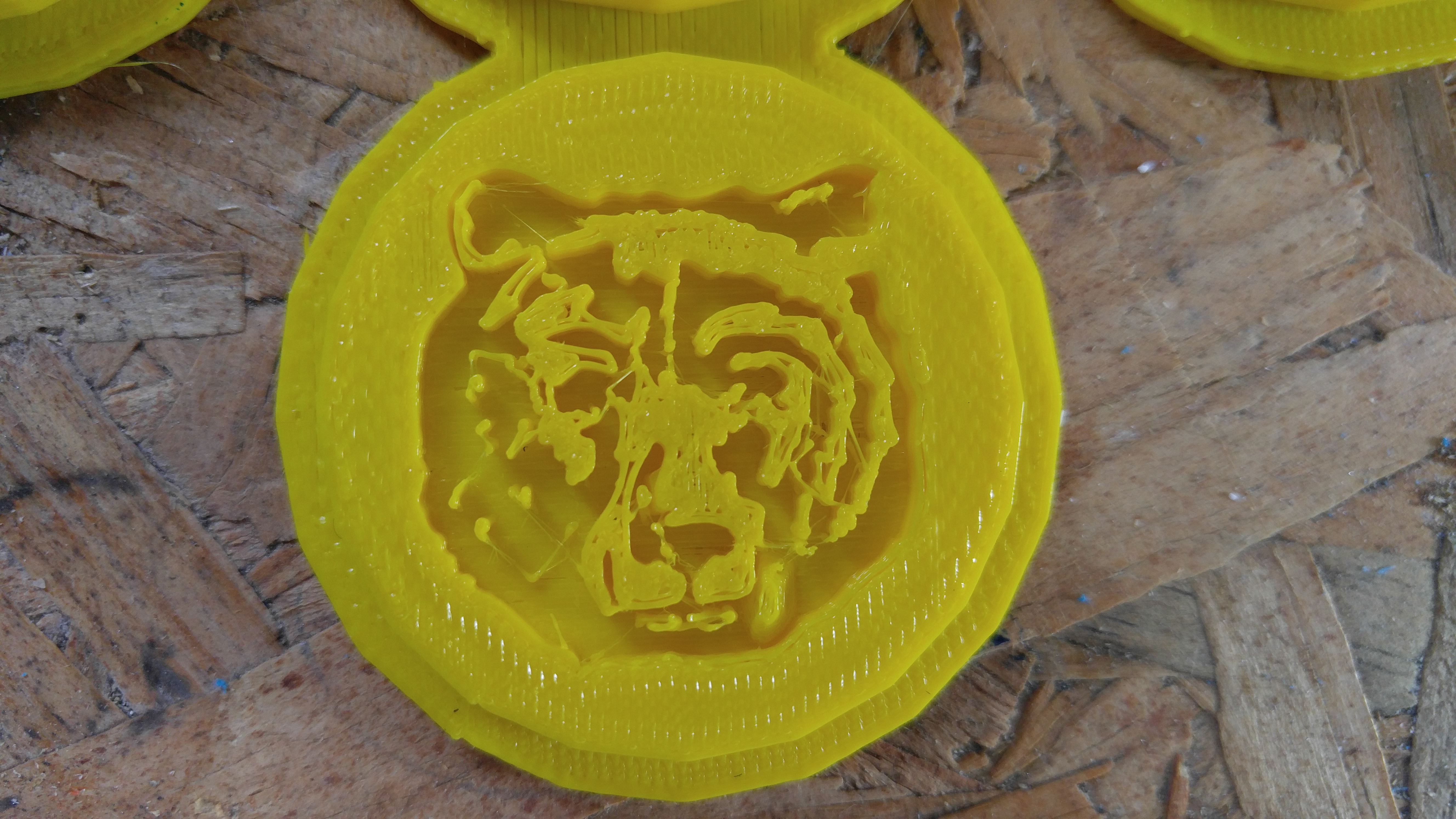 Cub Scout Bear Coin