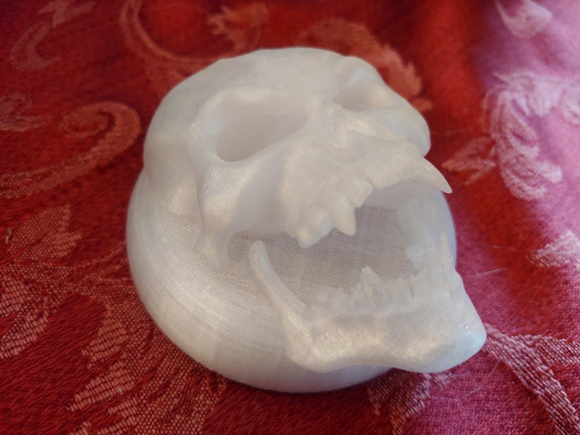 Motorcycle Skull turn signal Lens