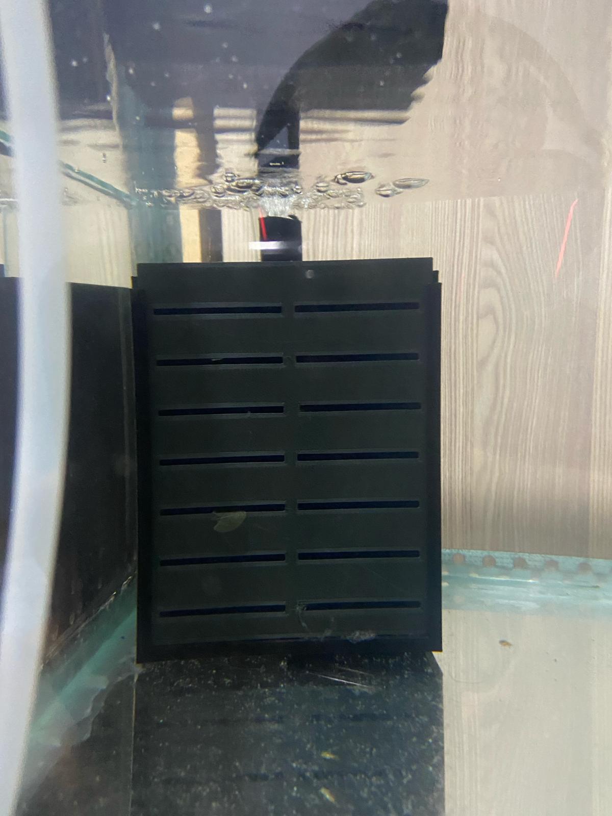 Sponge Sump Filter