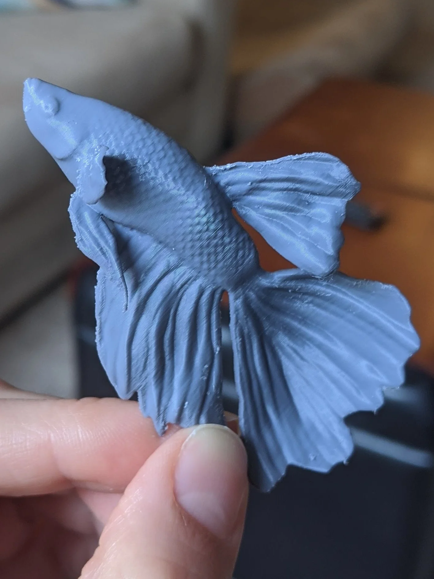 Beta fish