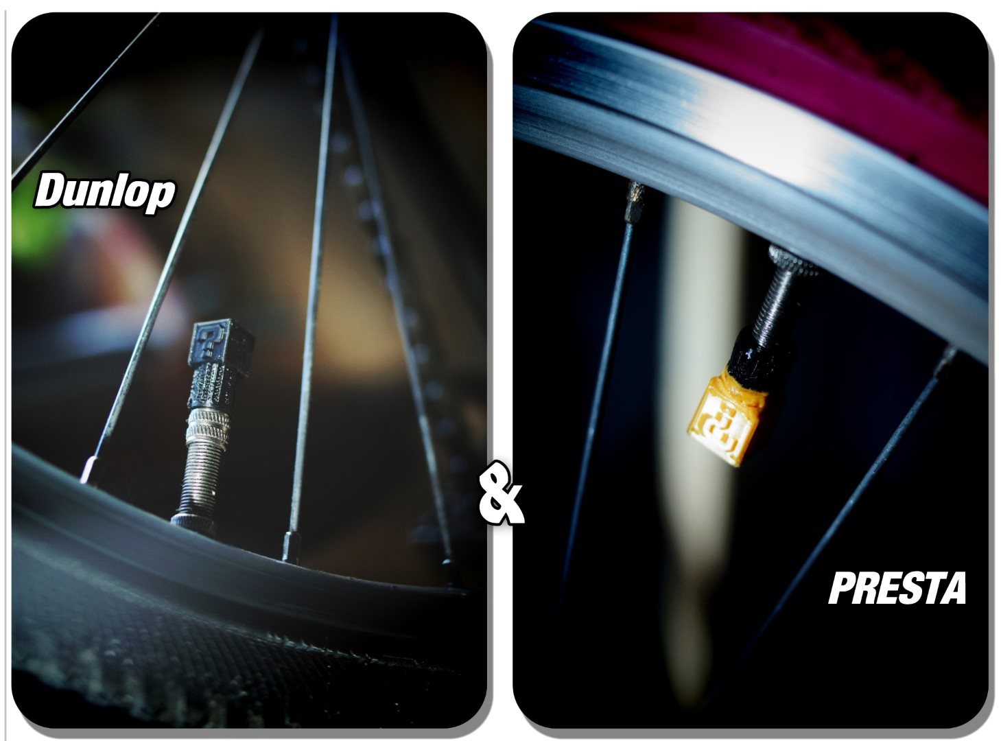 Presta - Dunlop  Lucky Block Bike Valve Cap