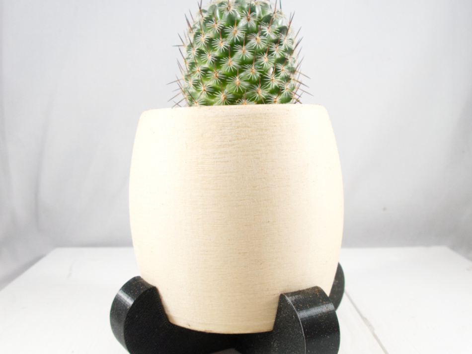Modern Desert Planter