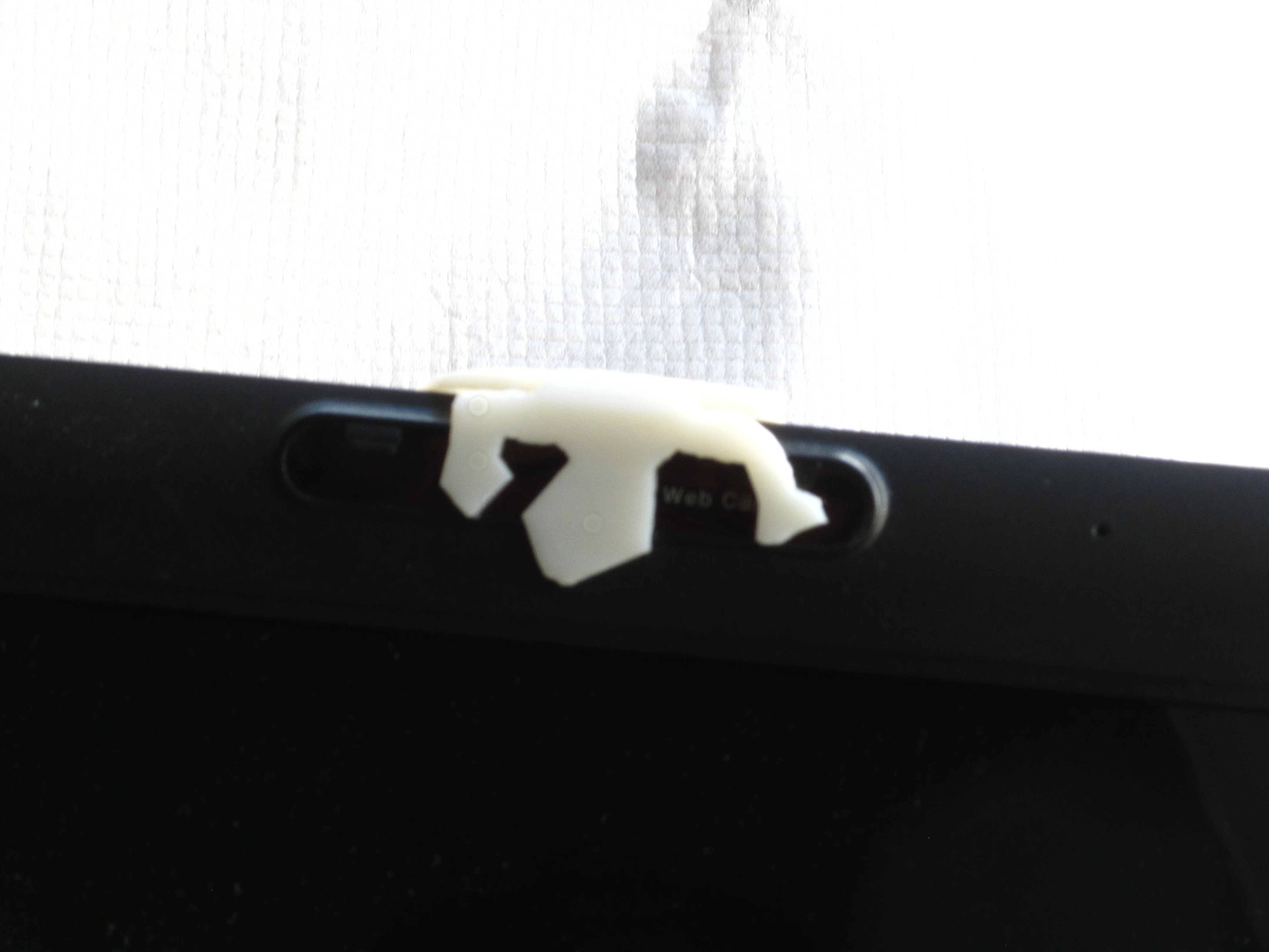 Escher lizard Laptop & imac privacy protector for camera