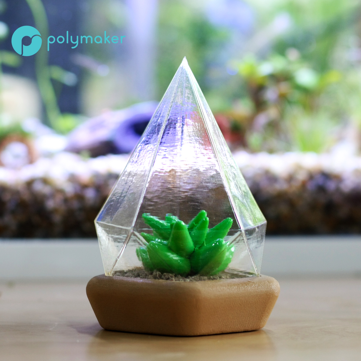 Succulent dome