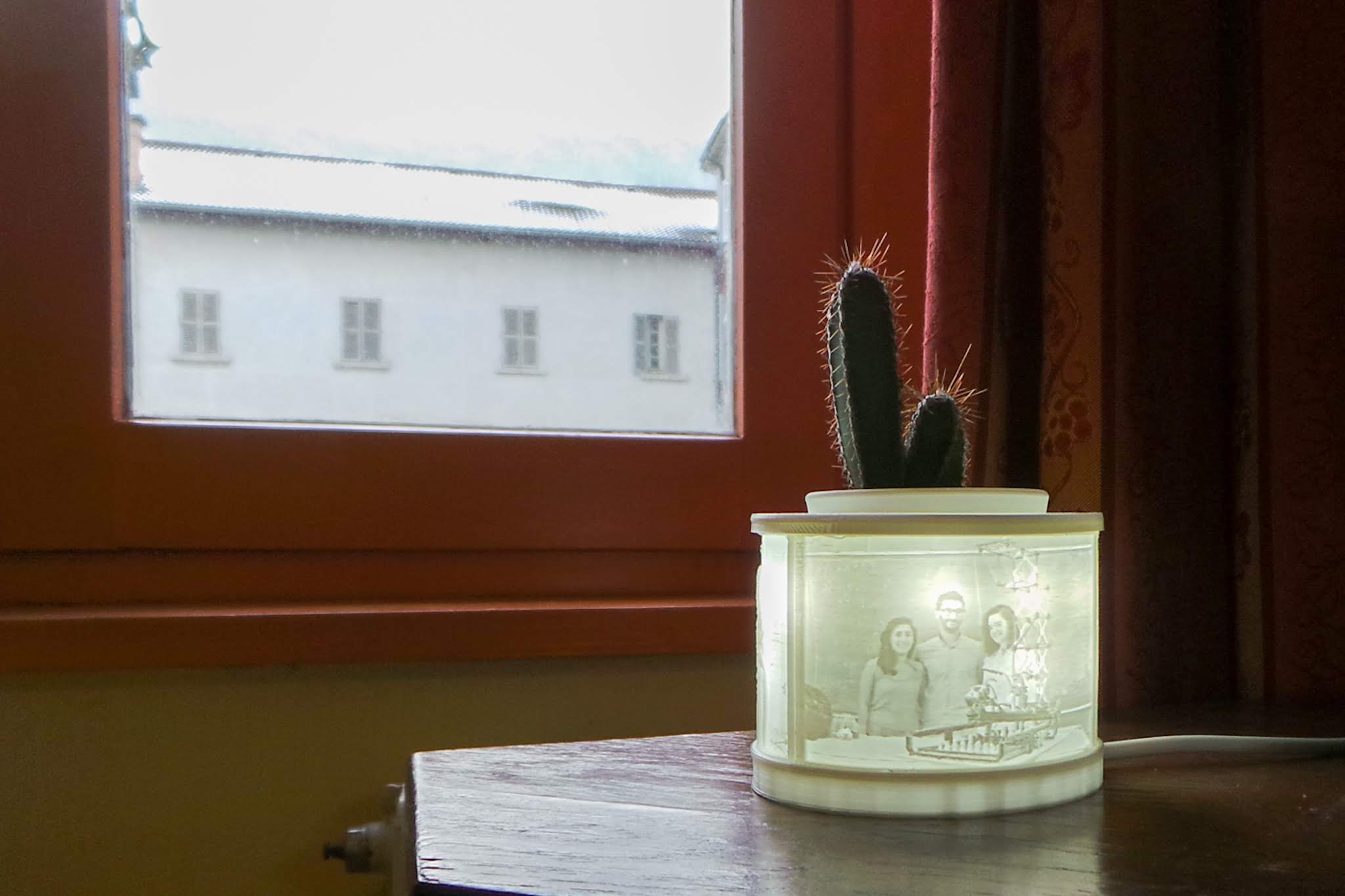 Lithophane cactus pot