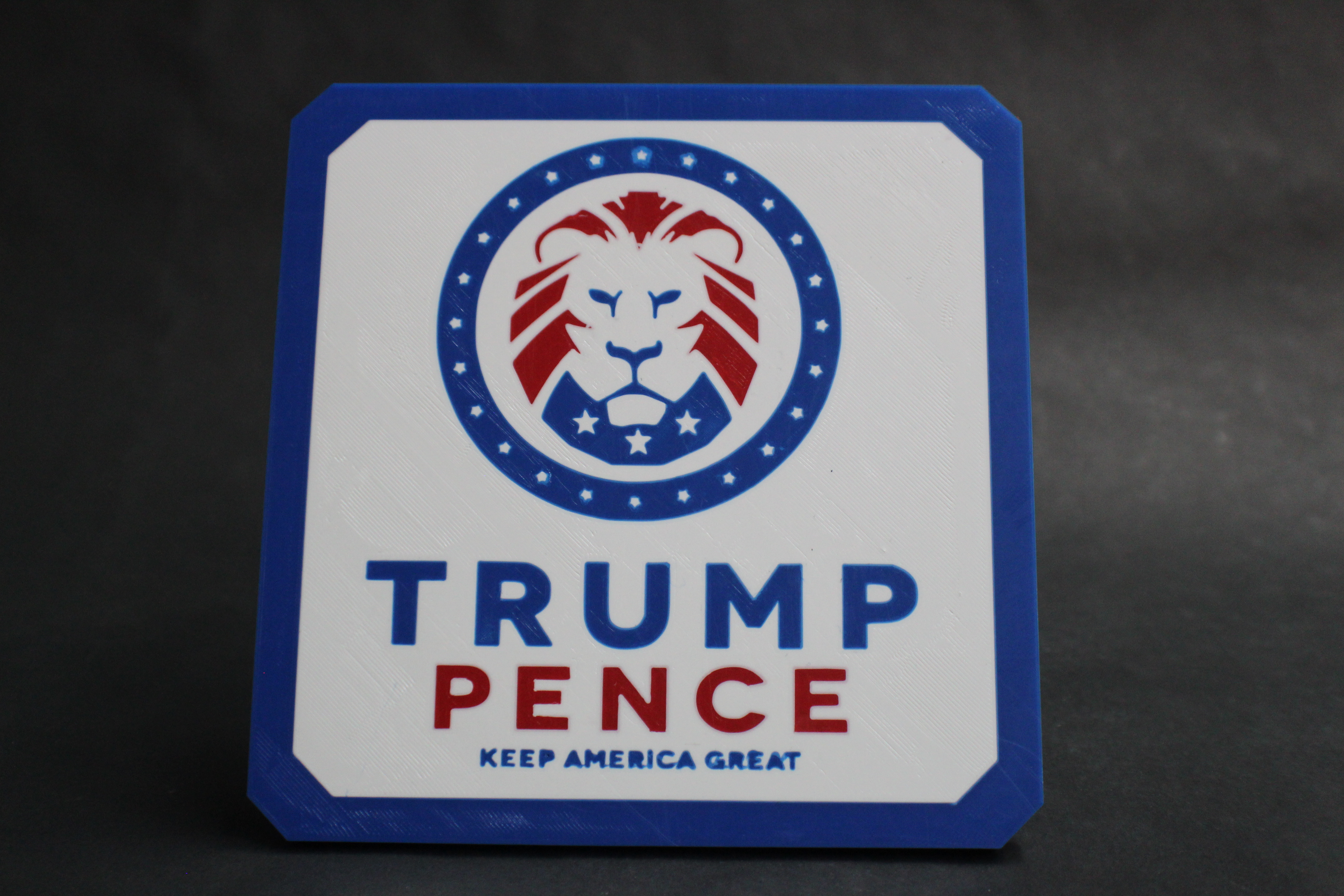 Trump Pence 2020 2" Trailer Hitch Receiver Plug Cover