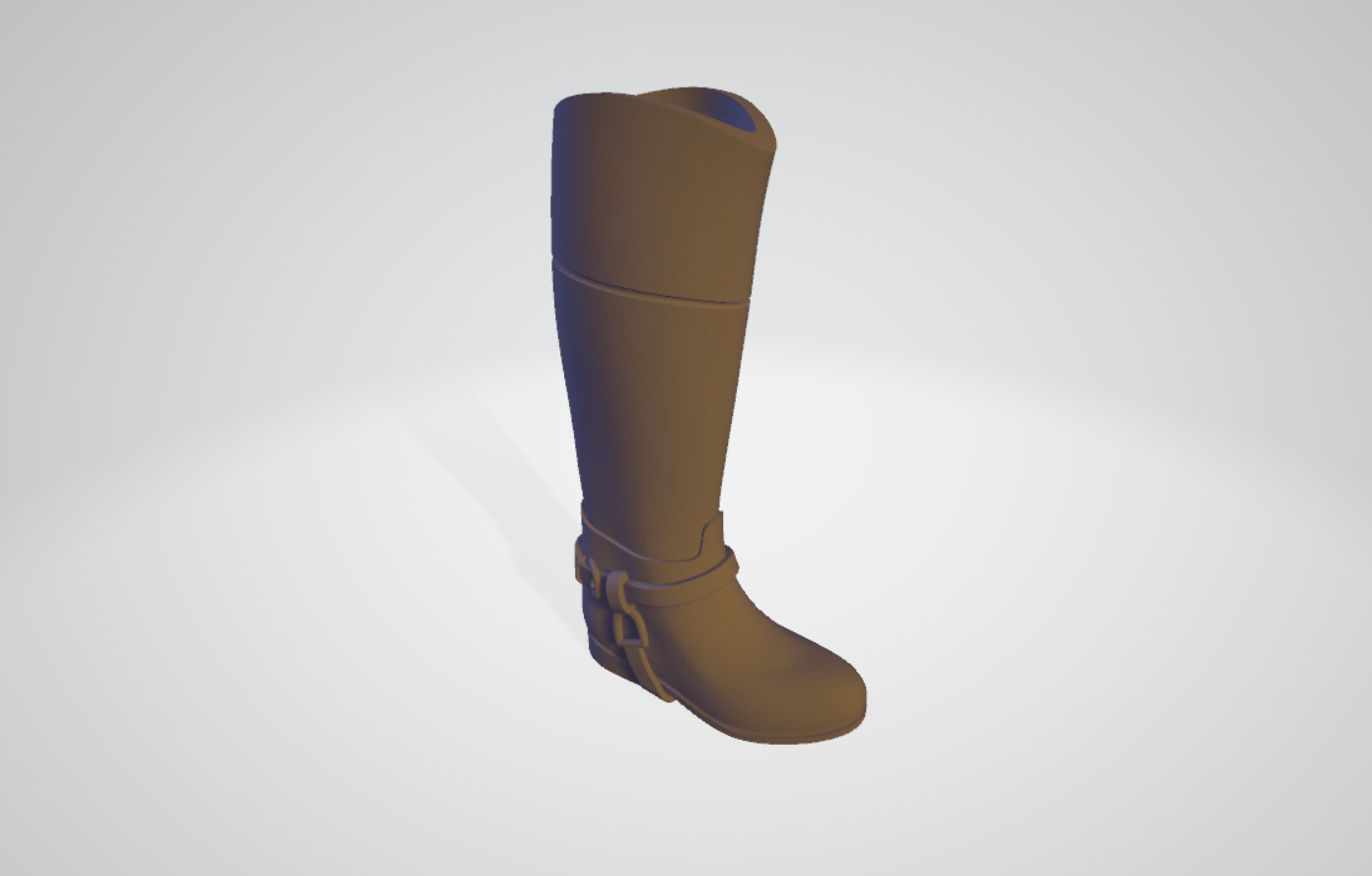 Bota de charro