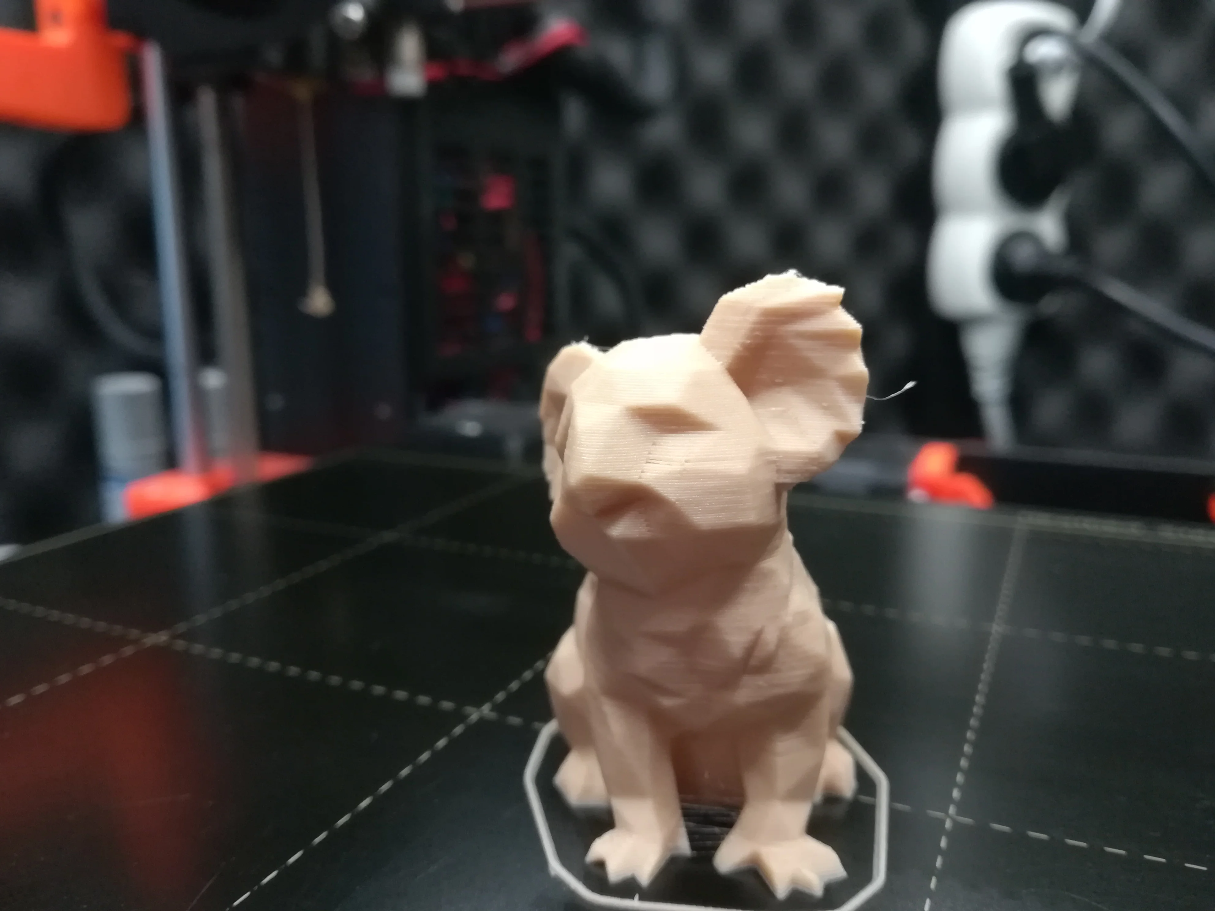Koala Low Poly