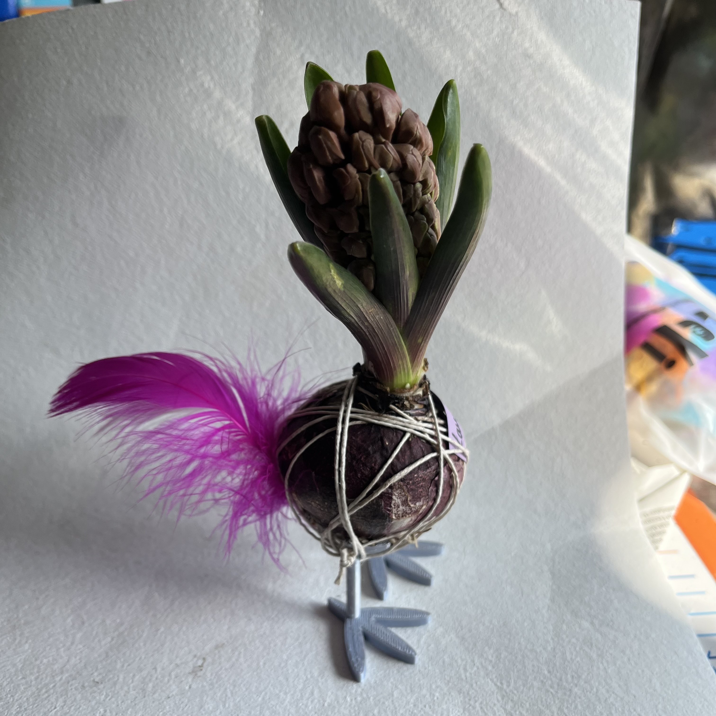 Flower bulb holder (chicken legs) - grandmother's day gift