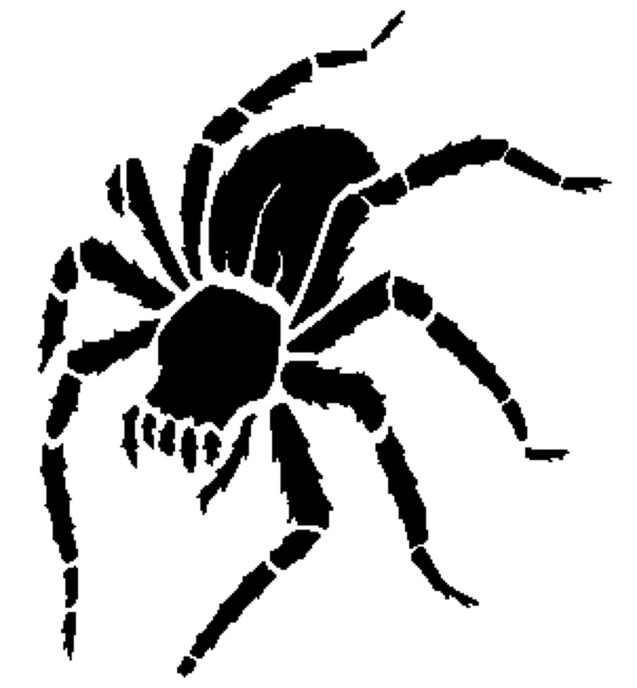 Spider stencil 2