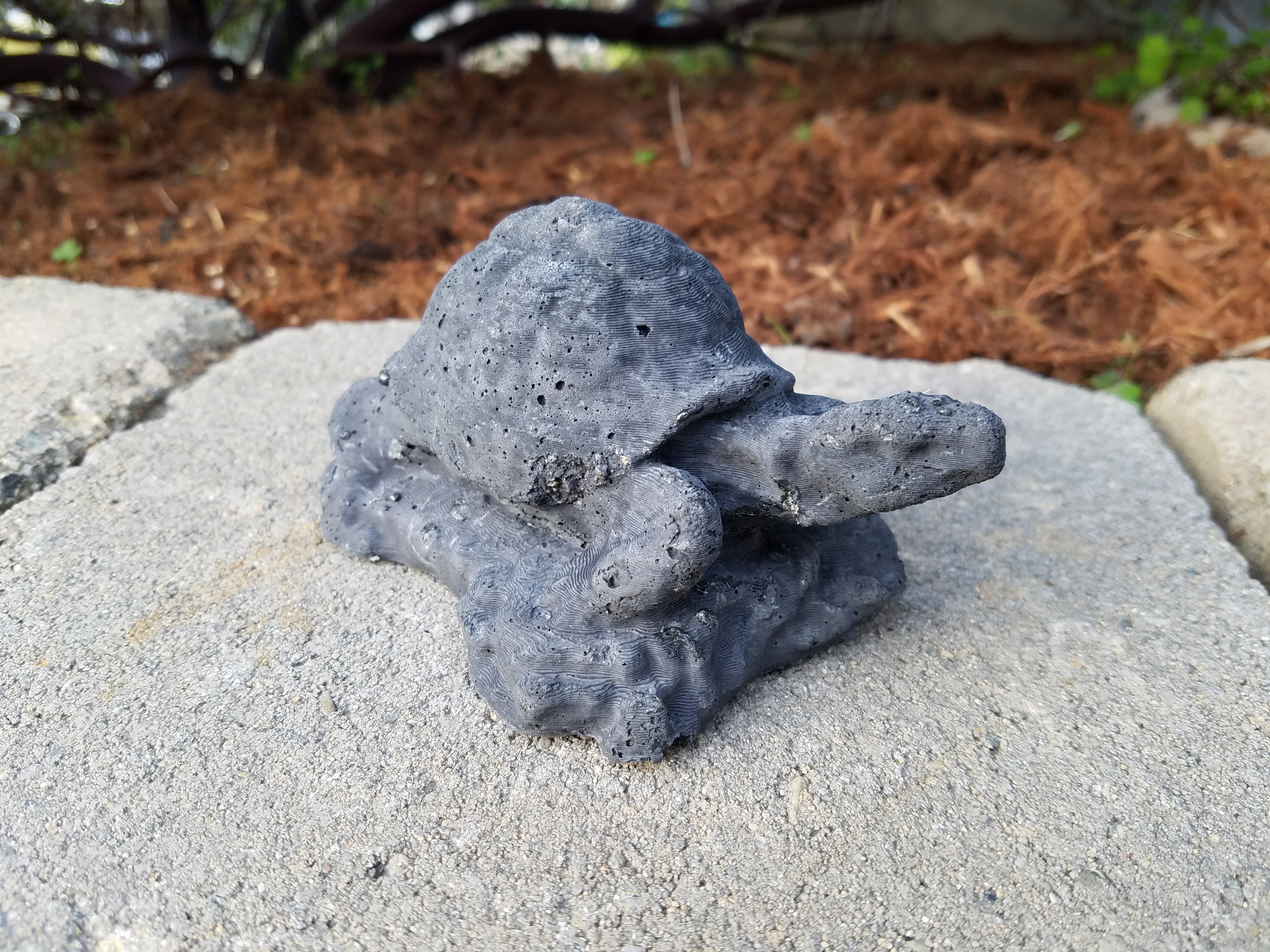 Tortoise mold