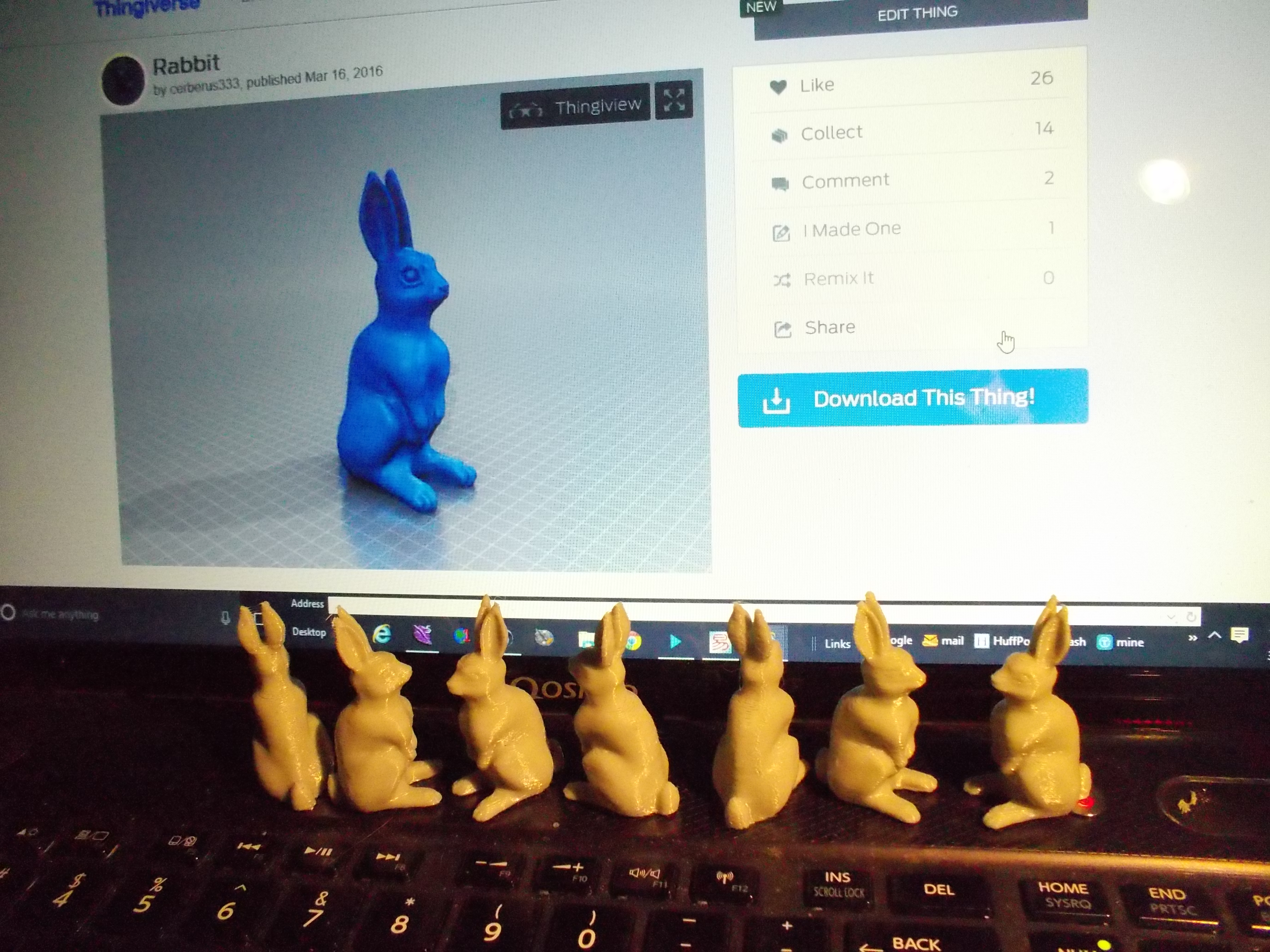 Rabbit