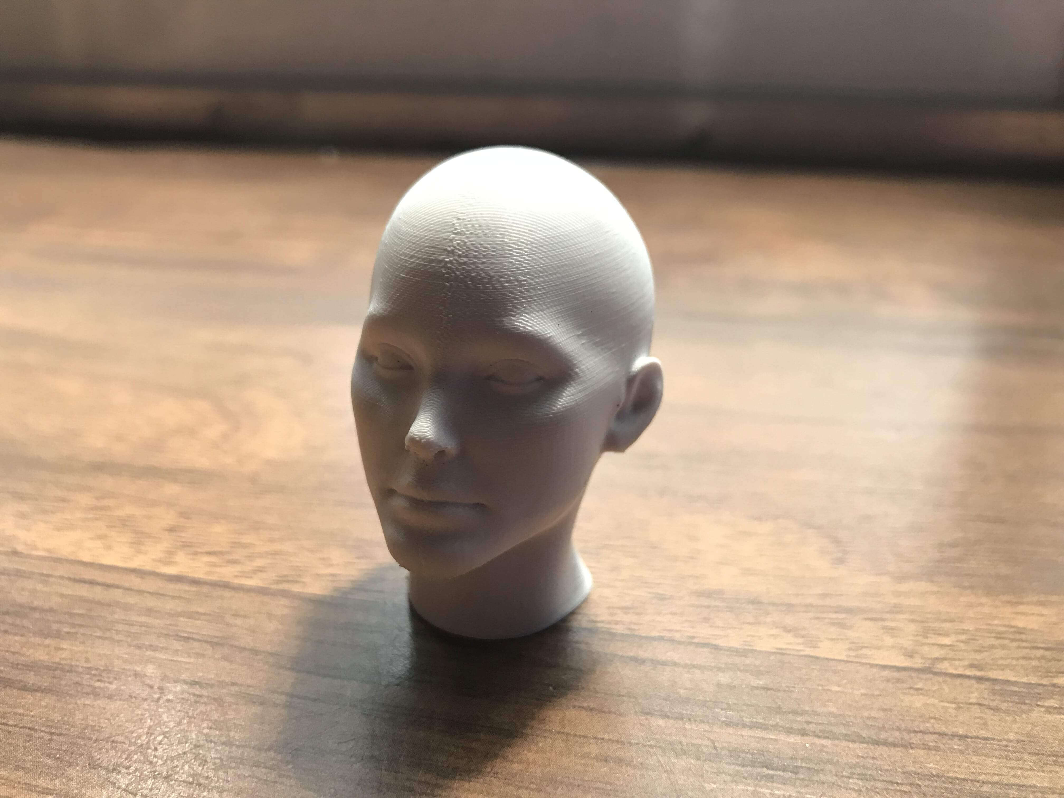 Human Head - Female