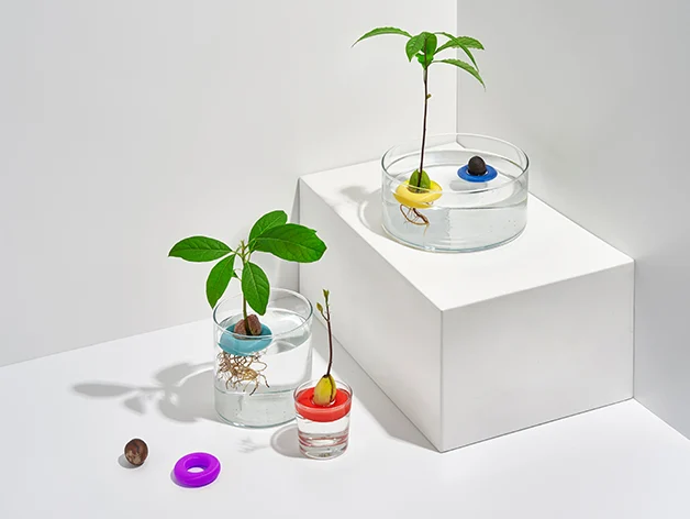 avo - floating avocado growing tool