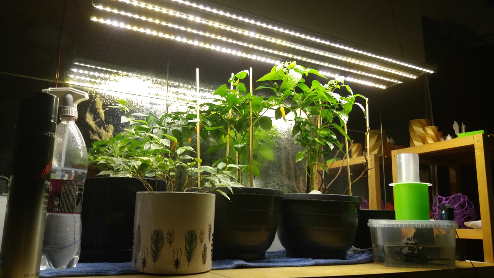 Plant or Working lights DIY, simple & powerful