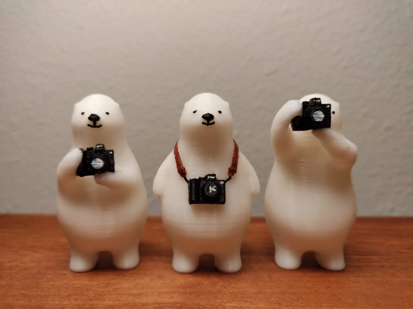KUMATY: Camera Polar Bears