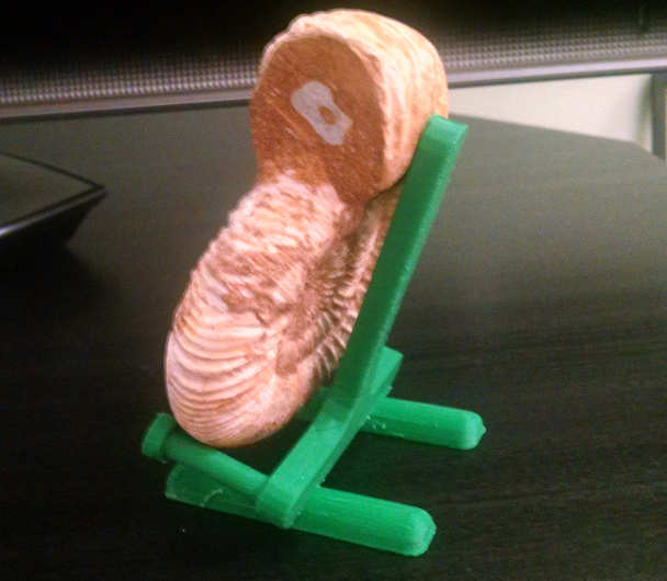 Stand for 5" Ammonite Fossil
