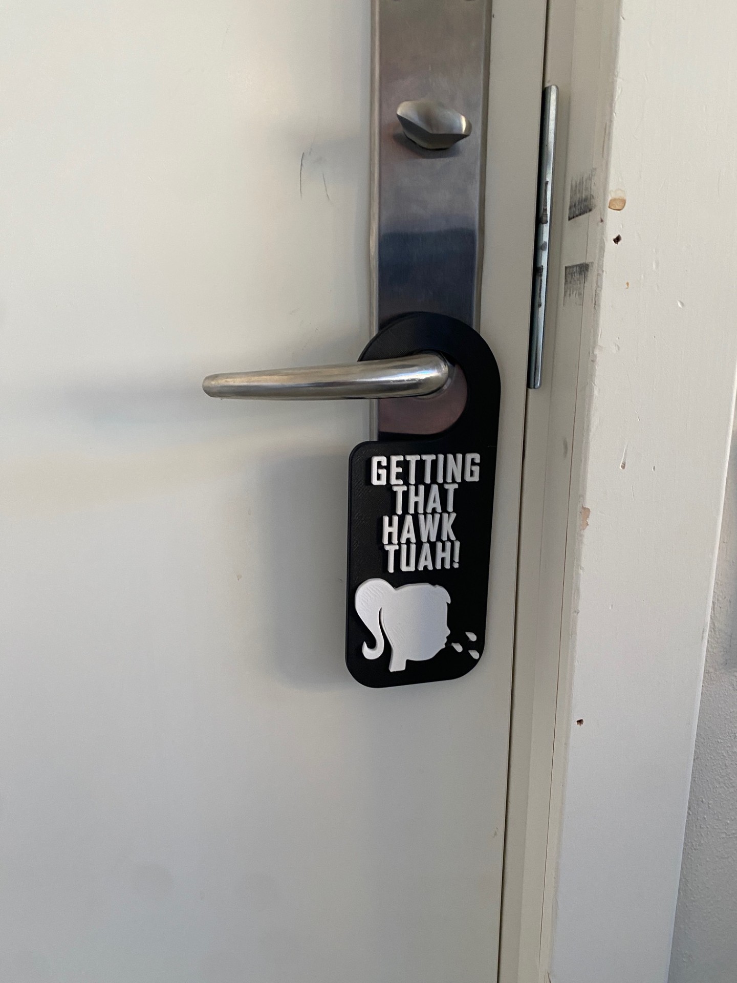 Door sign hawk tuah meme