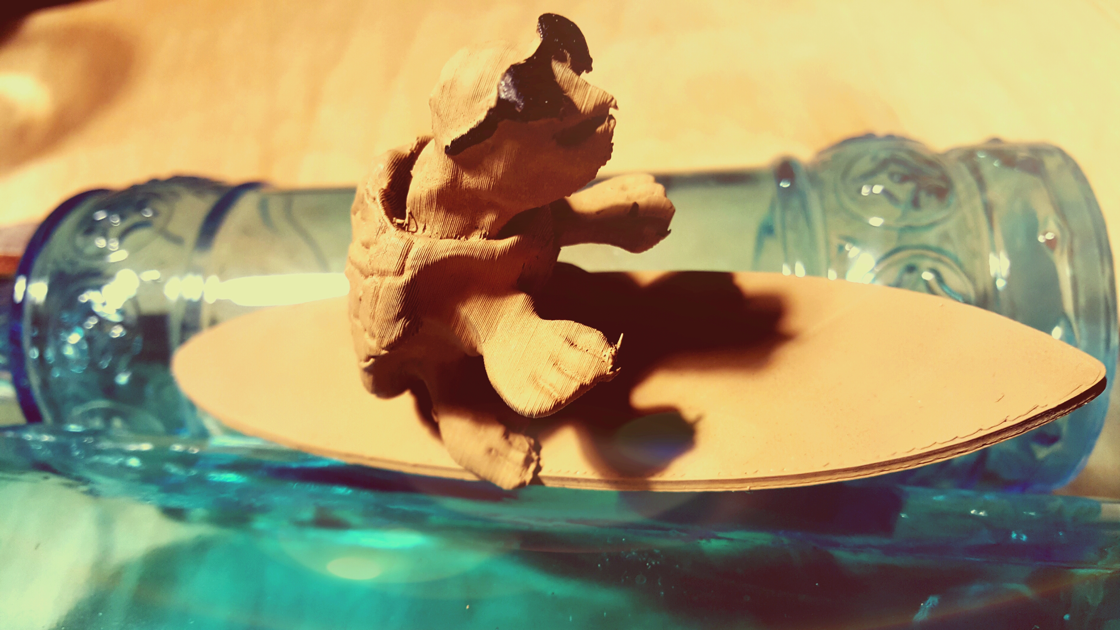 Juanjo The Surfing Turtle