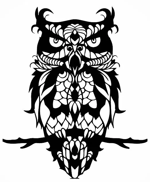 2D owl