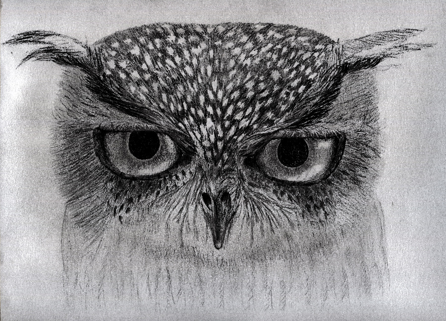 Marie's Owl