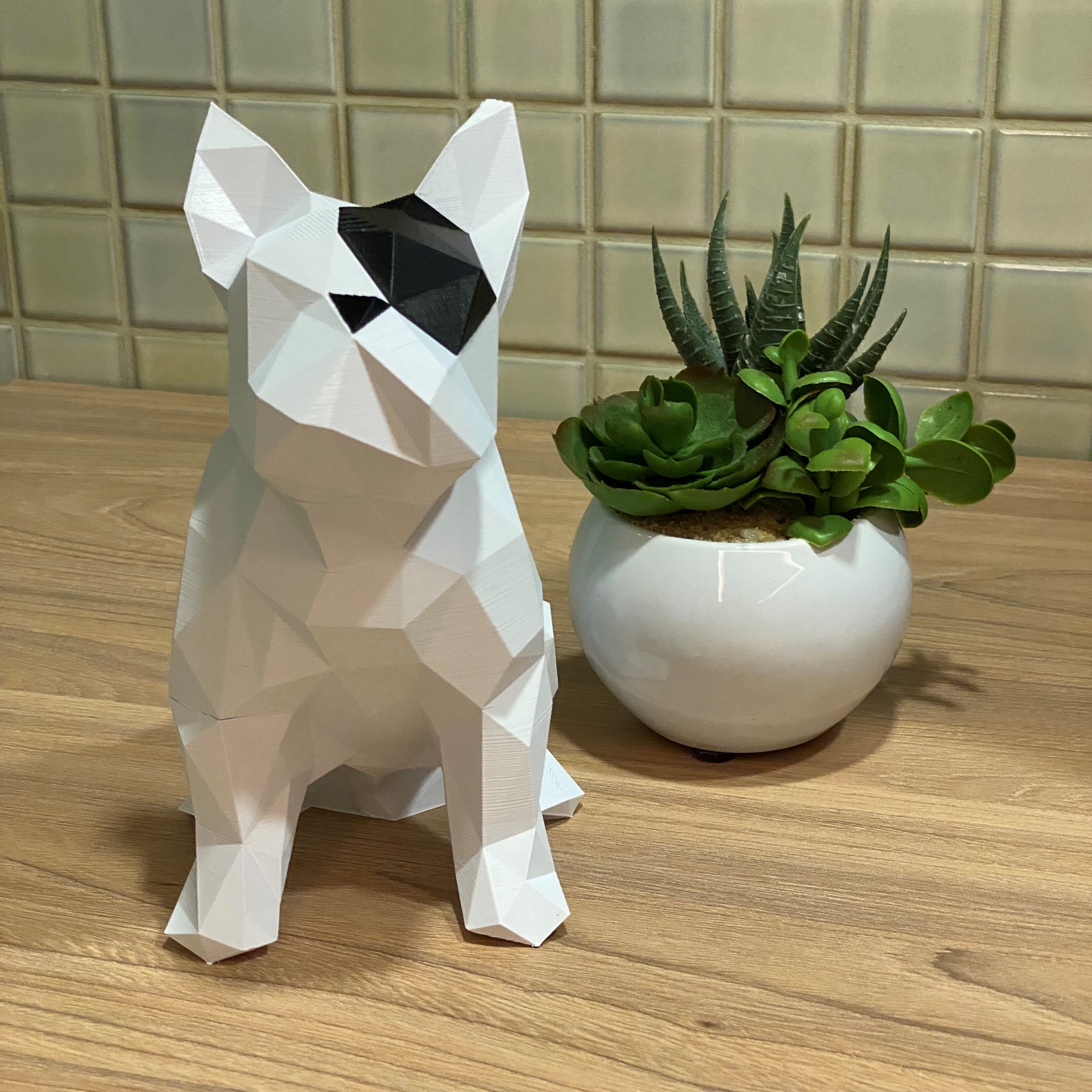 Pirate French Bulldog - Frenchie - Francês