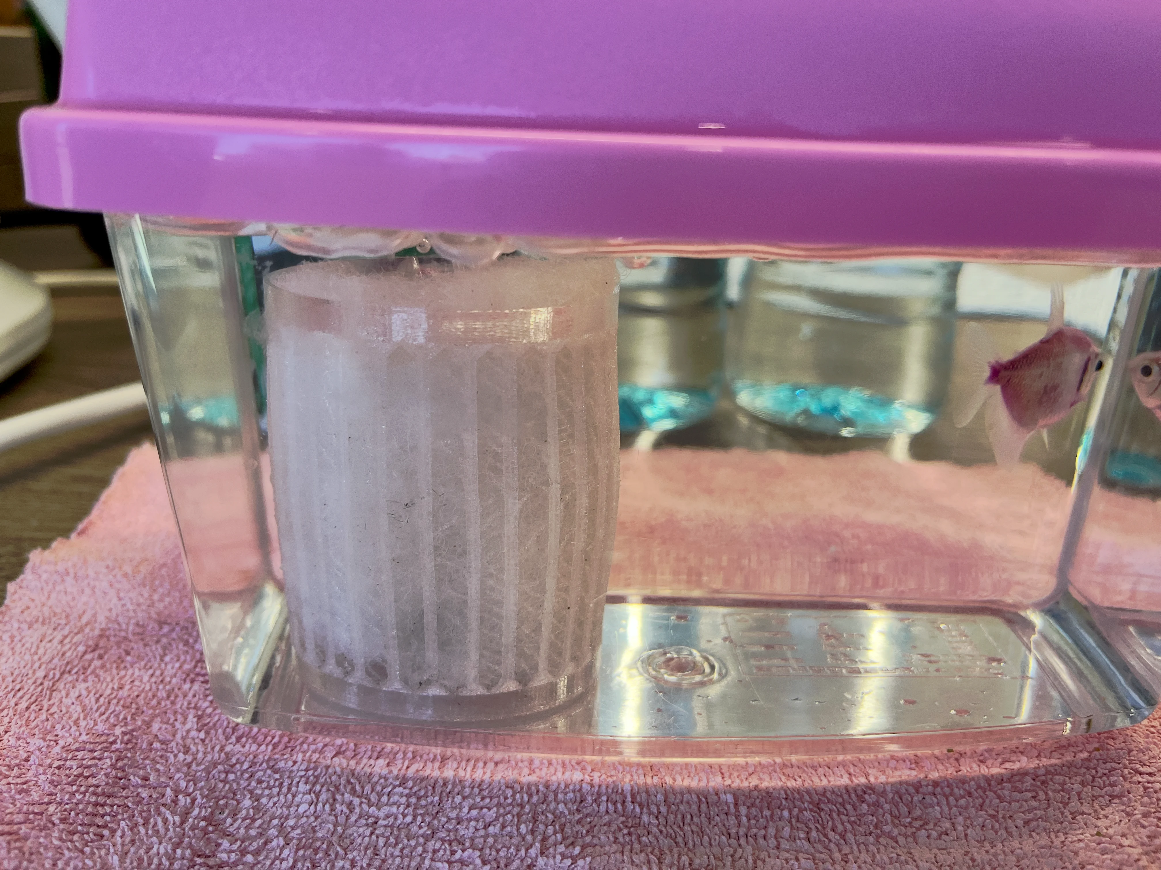 sponge filter