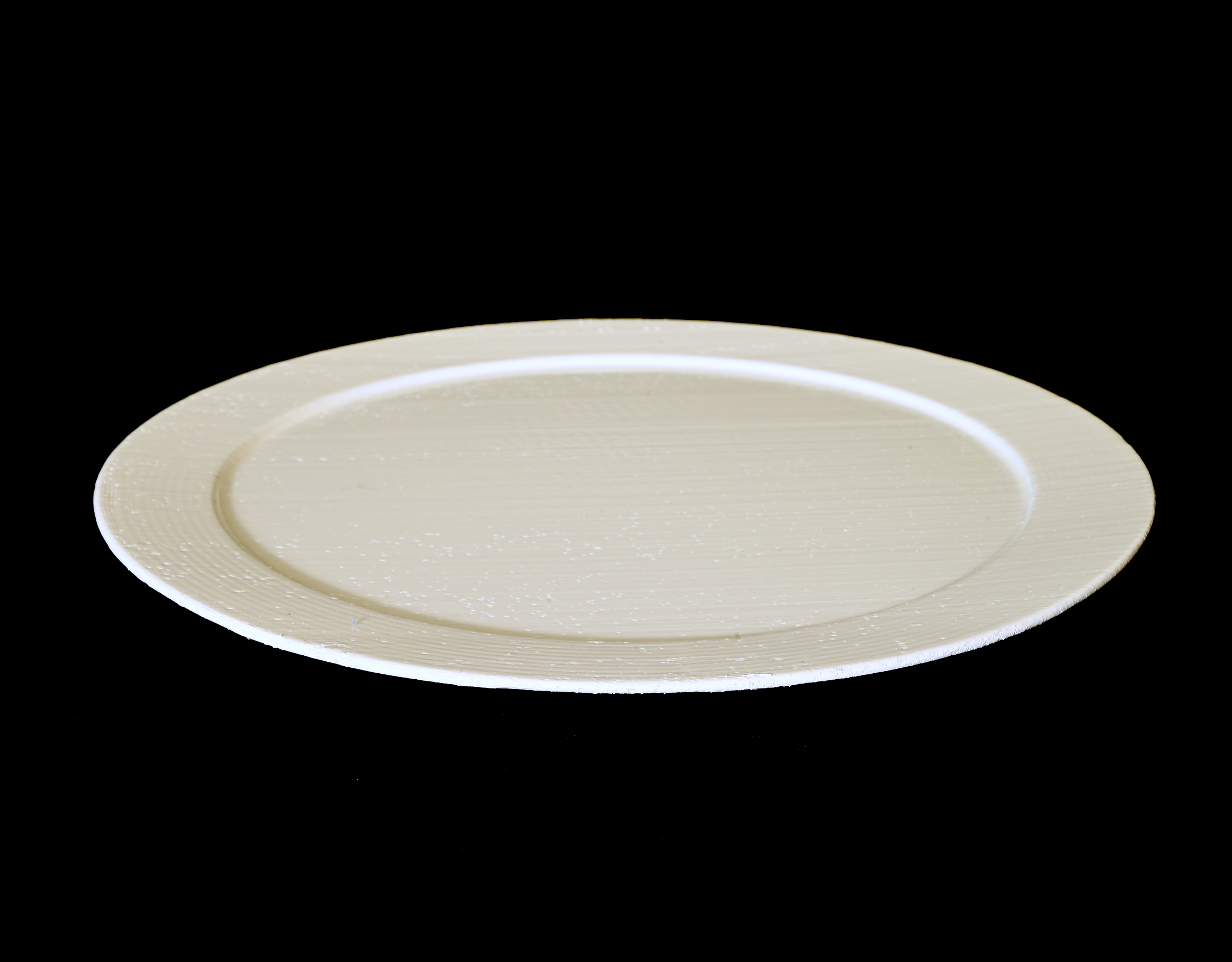 Dinner Plate