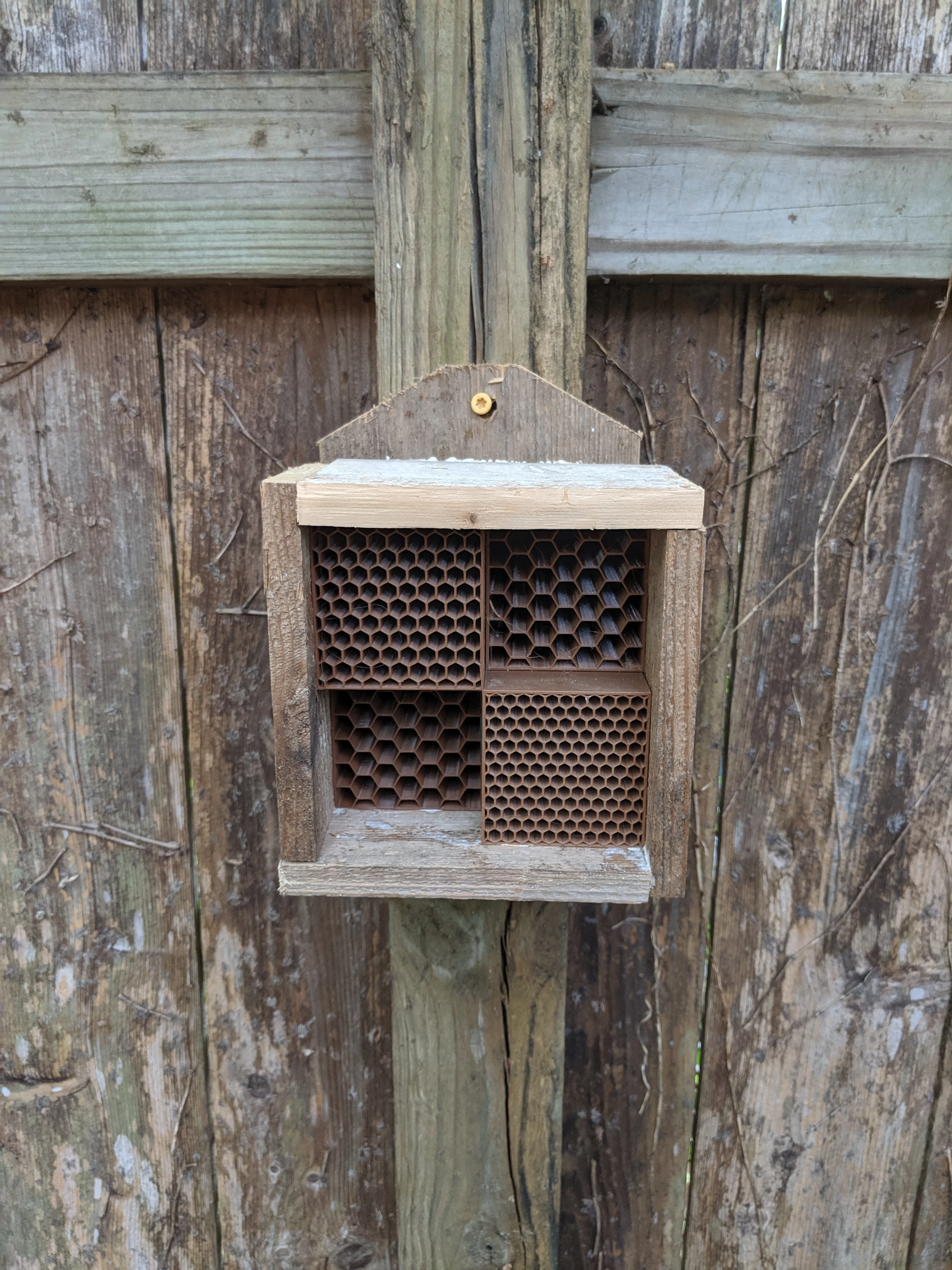 Modular Bee cubes