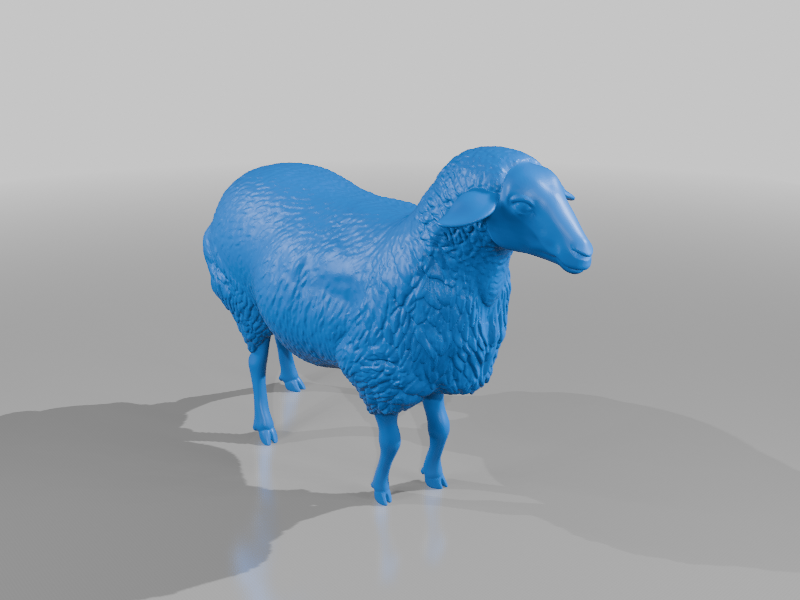 Fluffy Sheep
