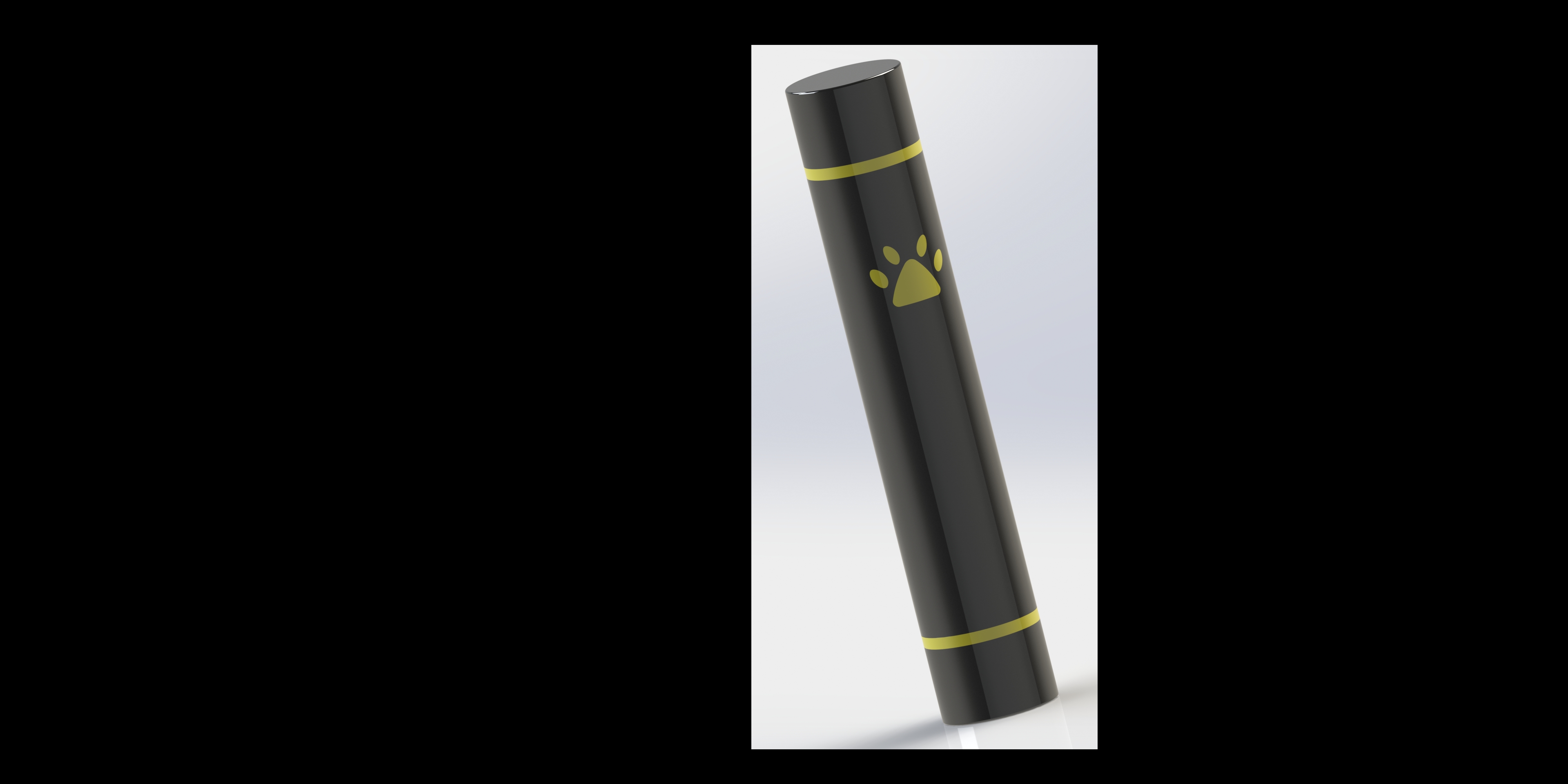 Cat Noir Stick