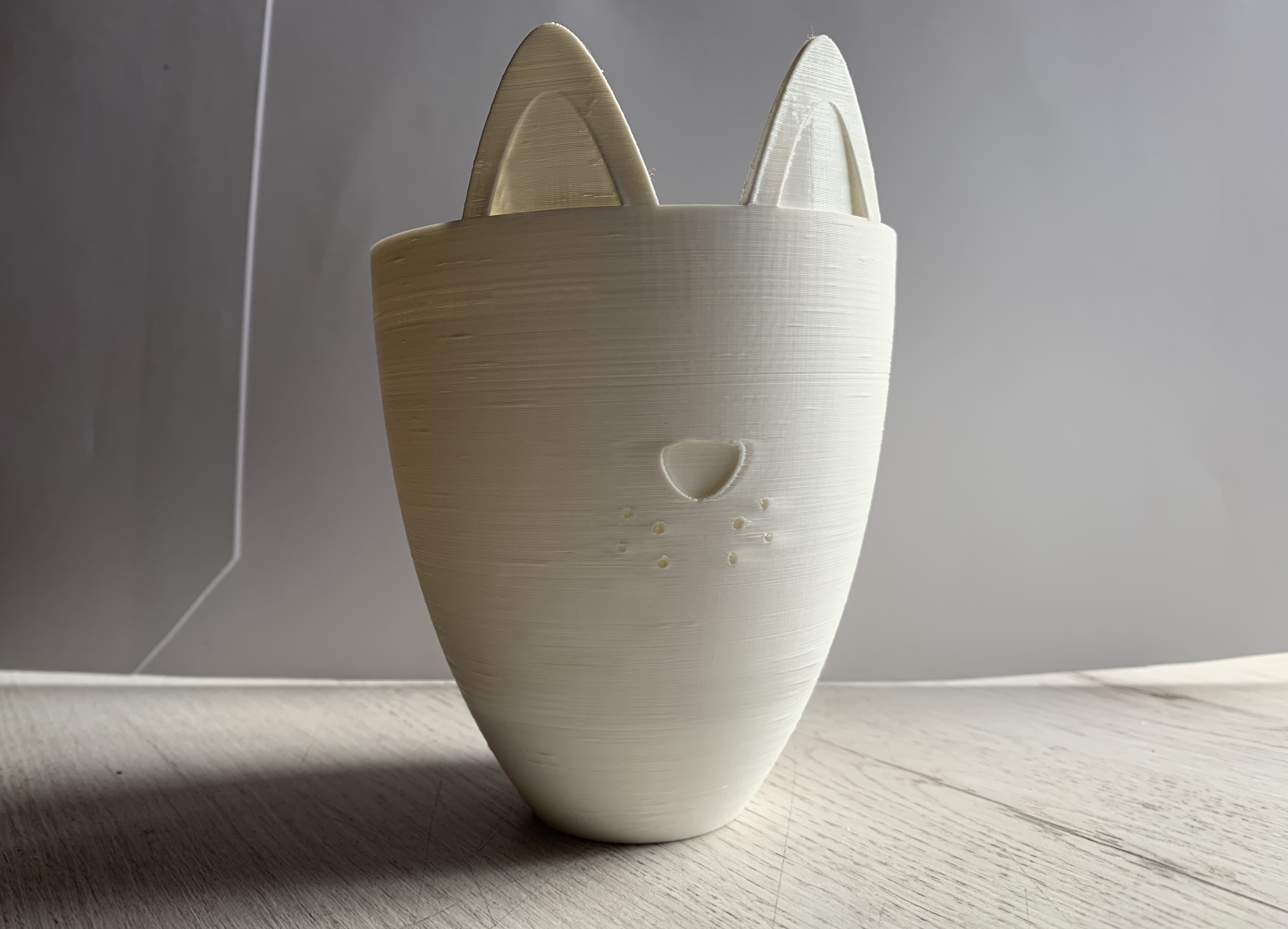 Cat pot